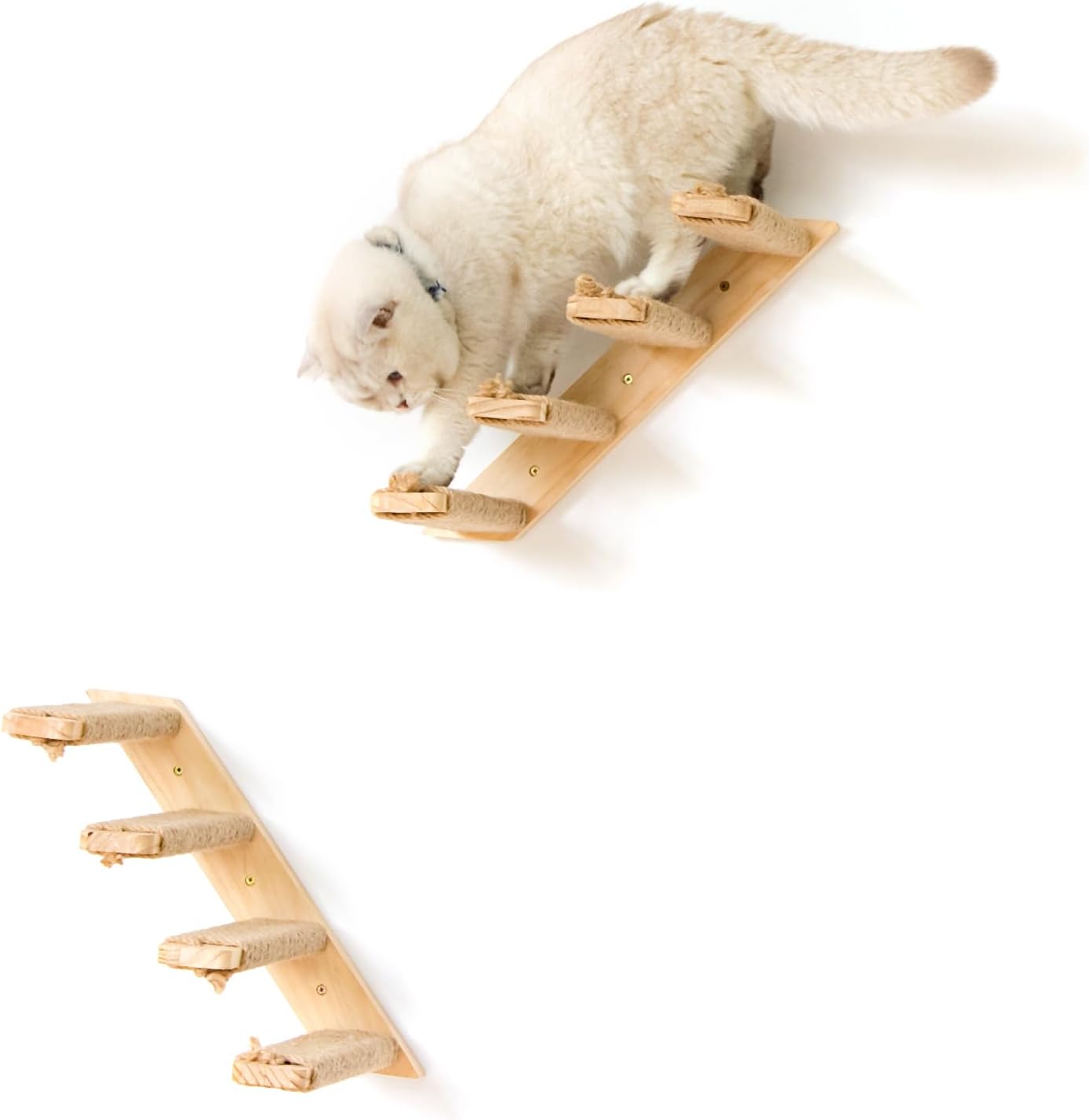 51lWNpLBZL._AC_SL1500_.jpg 51lWNpLBZL._AC_SL1500_.jpg