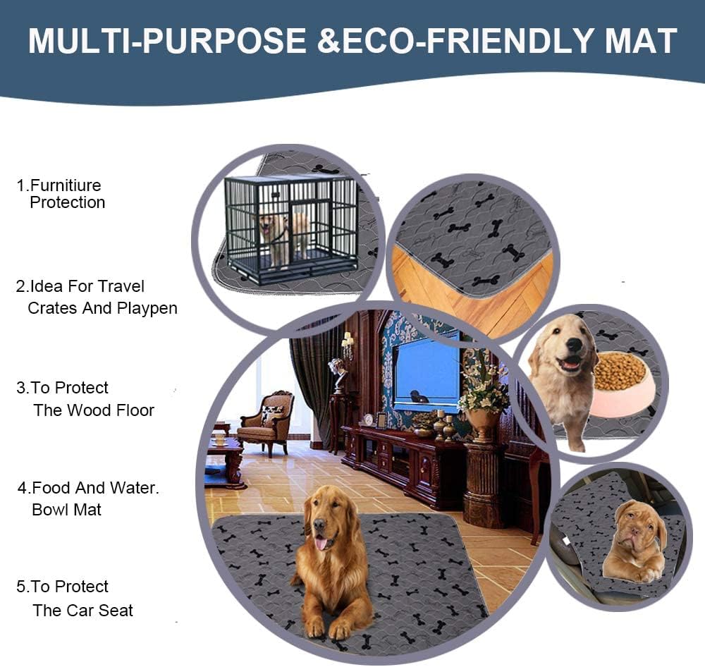 61-xM7L67cL._AC_SL1000_.jpg 61-xM7L67cL._AC_SL1000_.jpg