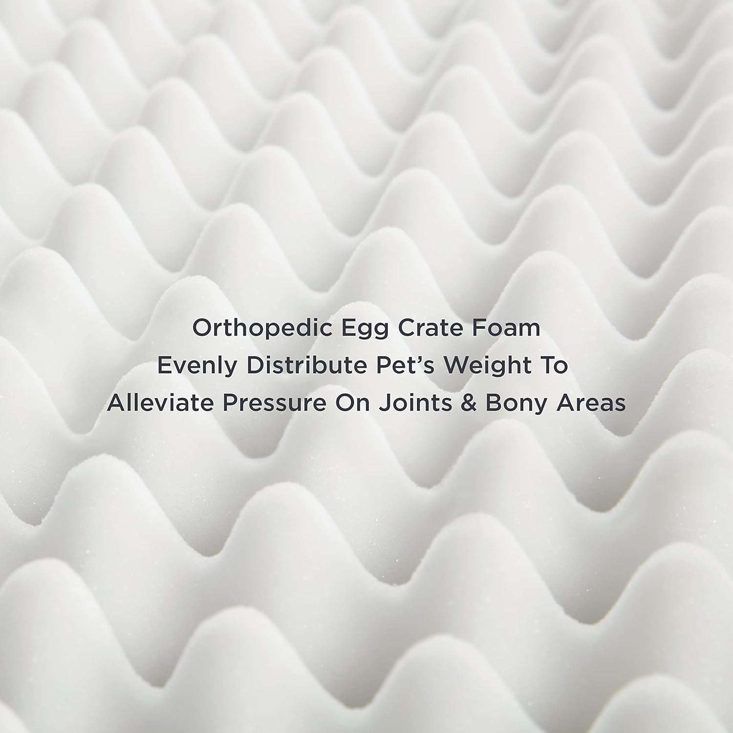 61NC-qXT91L._AC_SL1500_.jpg 61NC-qXT91L._AC_SL1500_.jpg