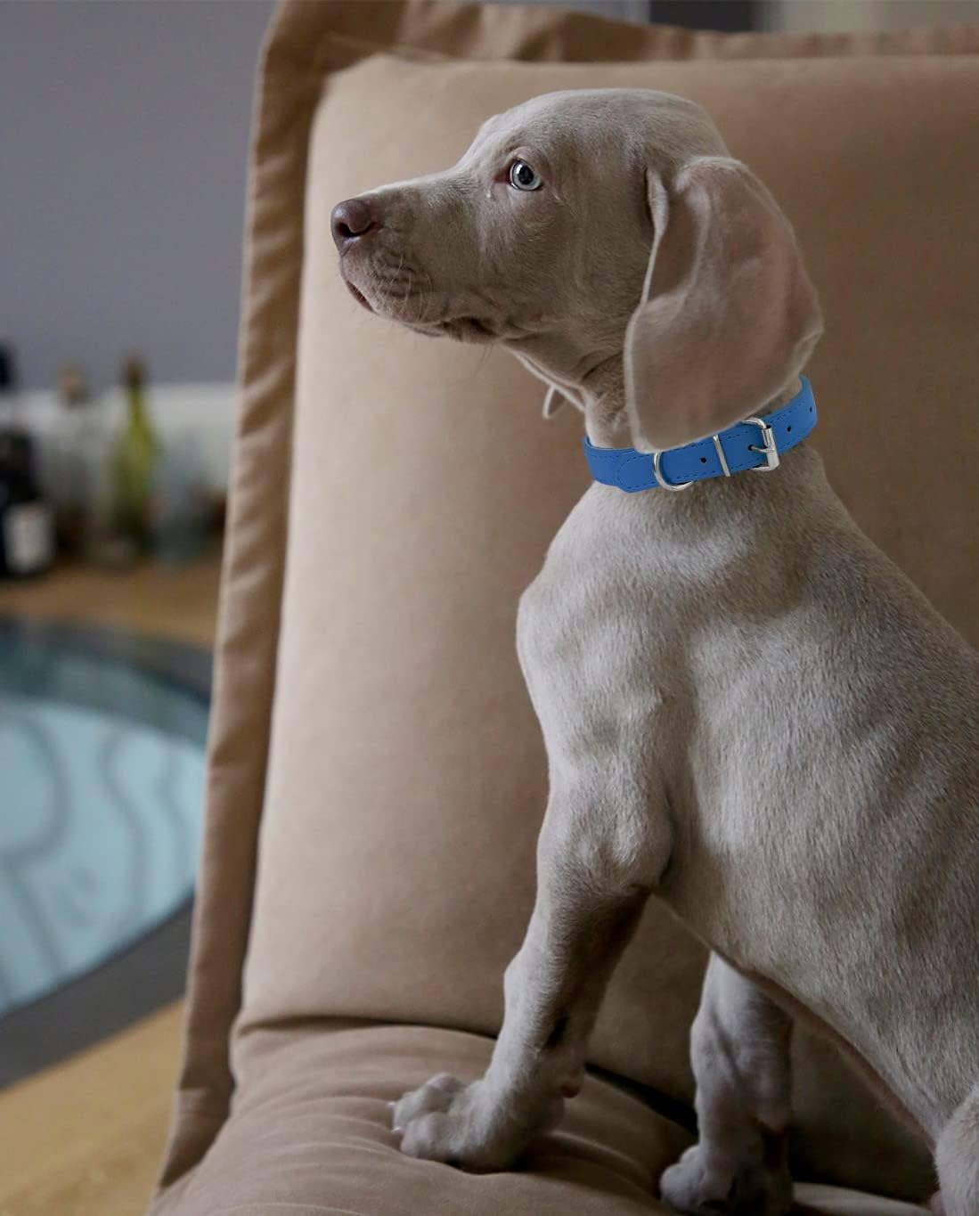 61i8QbBINJL._AC_SL1365_.jpg 61i8QbBINJL._AC_SL1365_.jpg