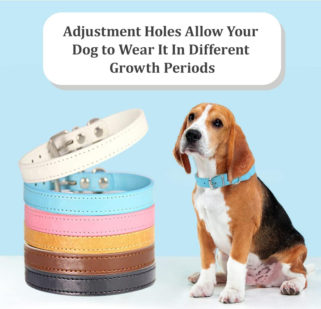 61pufXaIXjL._AC_SL1038_.jpg 61pufXaIXjL._AC_SL1038_.jpg