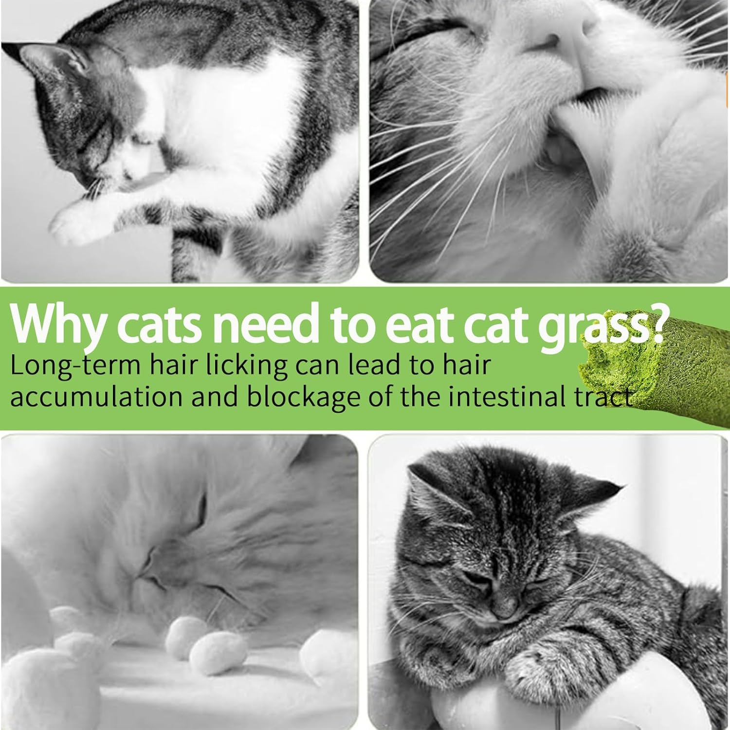 714-Gfhxd2L._AC_SL1500_.jpg 714-Gfhxd2L._AC_SL1500_.jpg