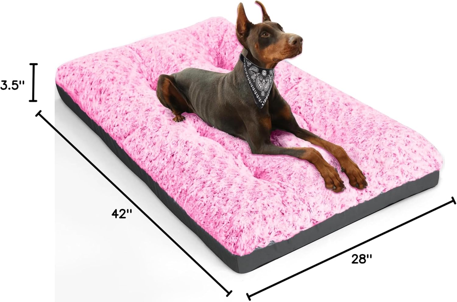 71513pzigtL._AC_SL1500_.jpg 71513pzigtL._AC_SL1500_.jpg