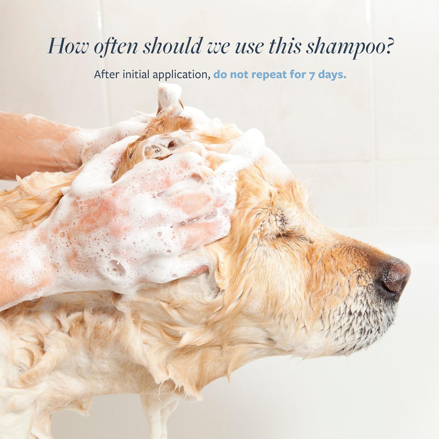 717gBTLeryL._AC_SL1500_.jpg 717gBTLeryL._AC_SL1500_.jpg