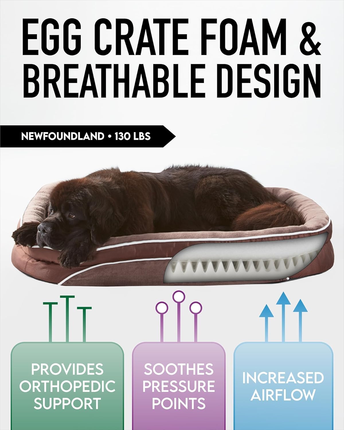 7182QikcCBL._AC_SL1500_.jpg 7182QikcCBL._AC_SL1500_.jpg