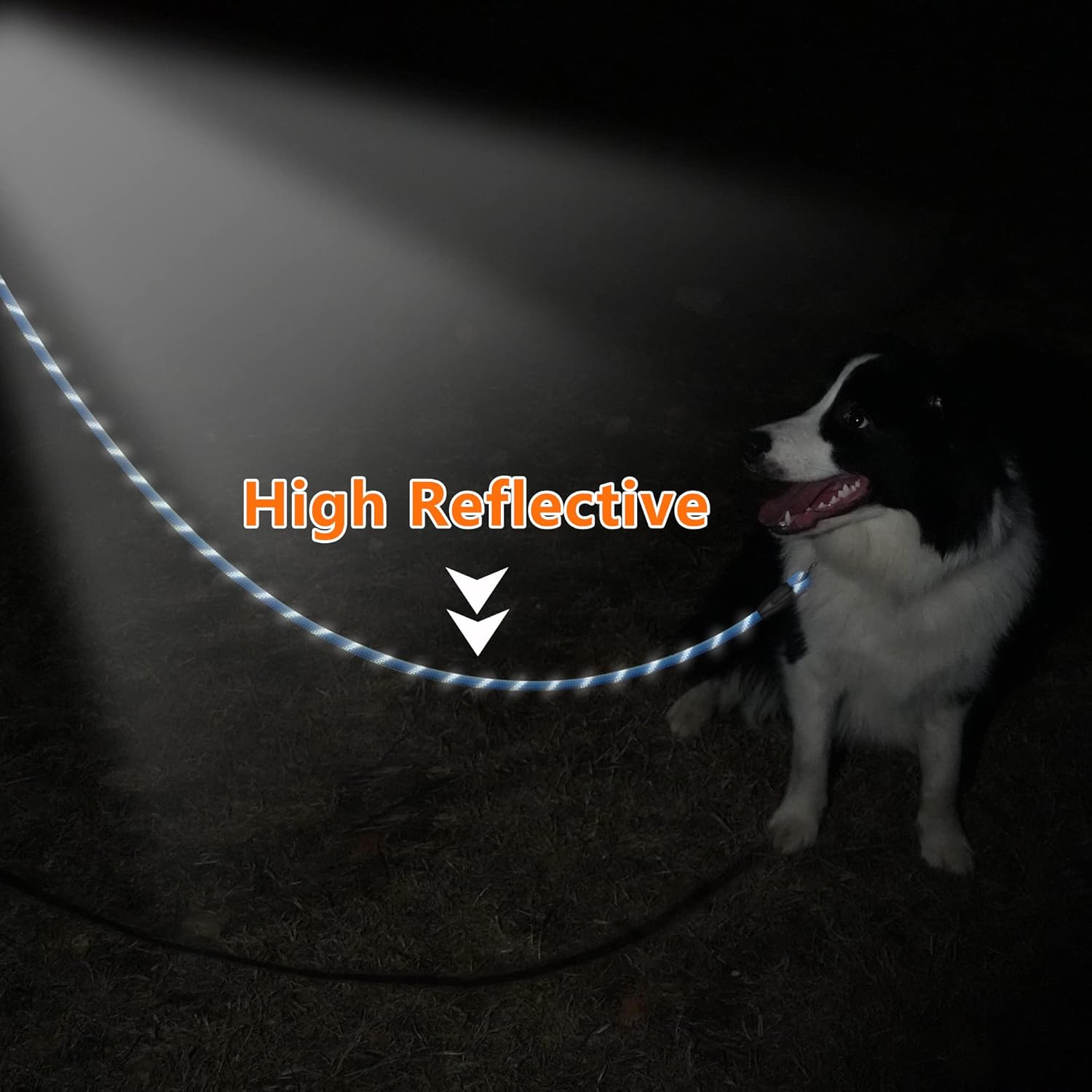 718HeP8VoUL._AC_SL1500_.jpg 718HeP8VoUL._AC_SL1500_.jpg