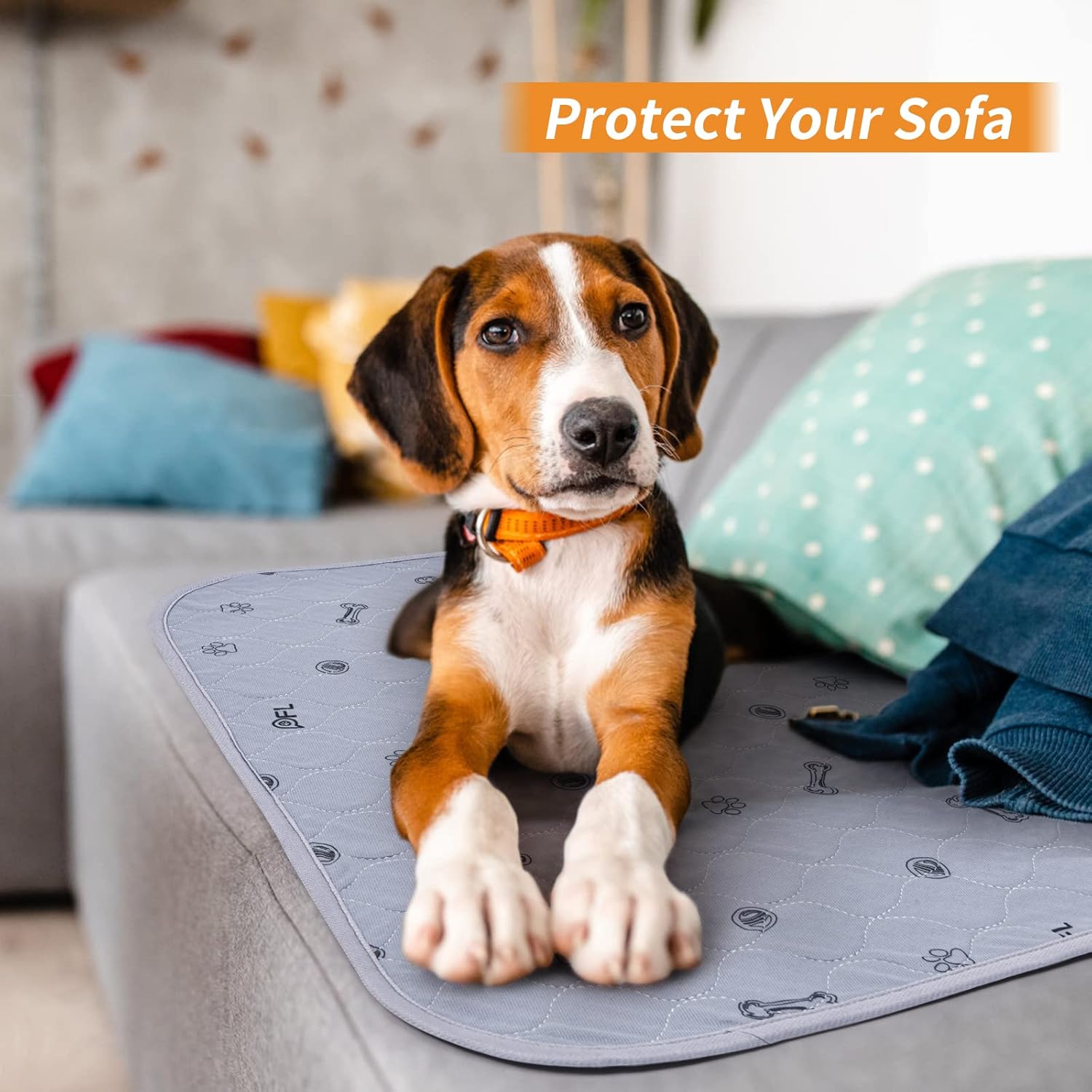 718i2isPbyL._AC_SL1500_.jpg 718i2isPbyL._AC_SL1500_.jpg