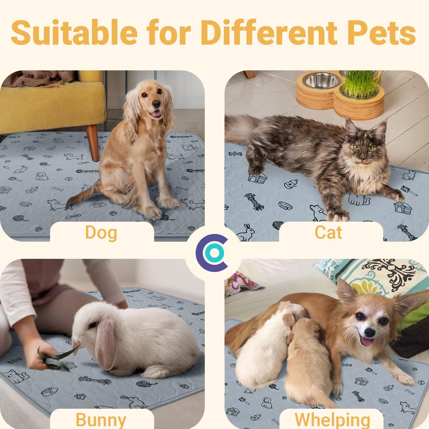 71A7KUuHMnL._AC_SL1500_.jpg 71A7KUuHMnL._AC_SL1500_.jpg