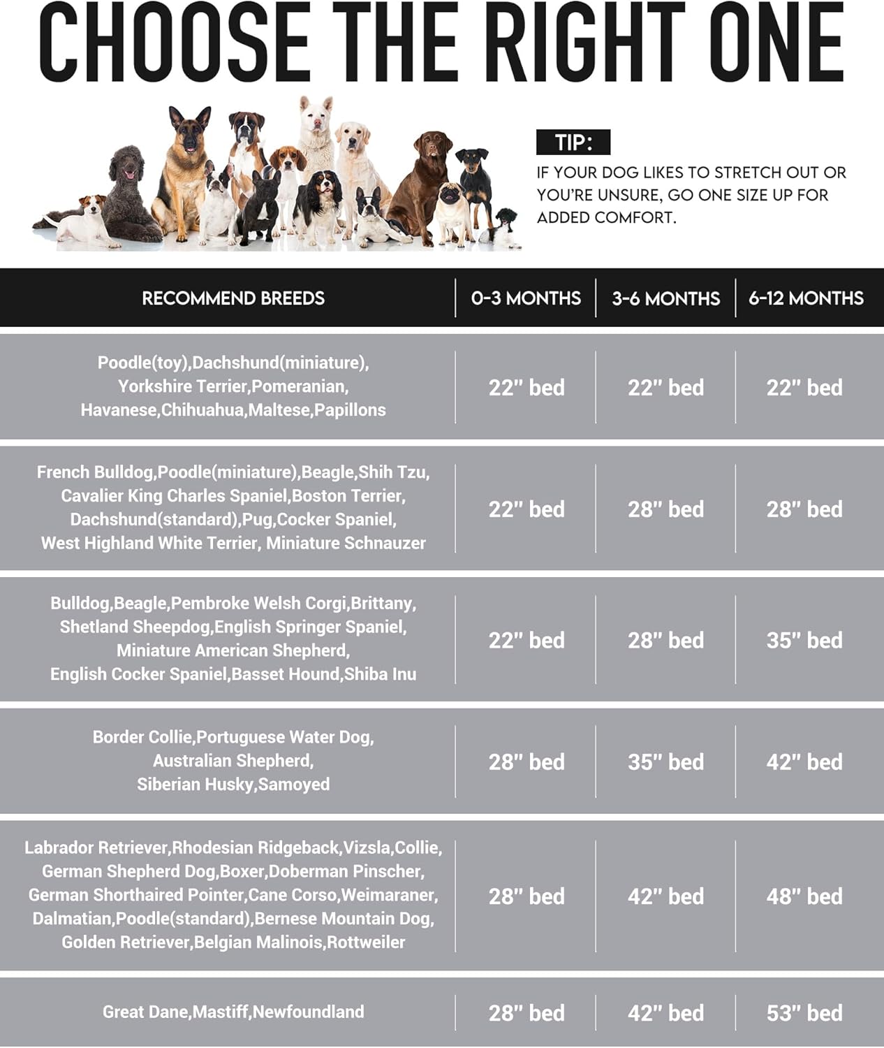 71F03k35TaL._AC_SL1500_.jpg 71F03k35TaL._AC_SL1500_.jpg