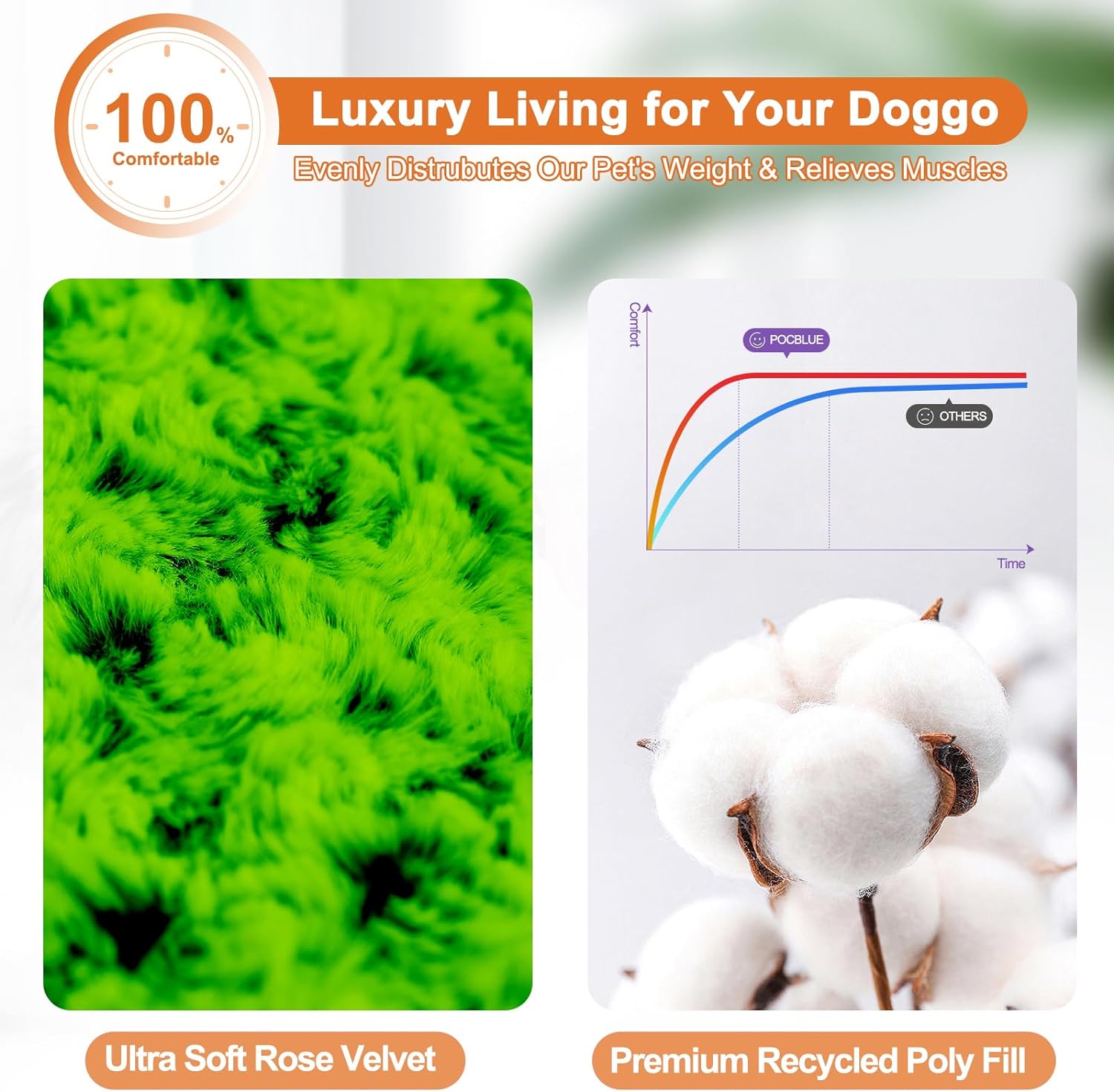 71NA7xq7flL._AC_SL1500_.jpg 71NA7xq7flL._AC_SL1500_.jpg