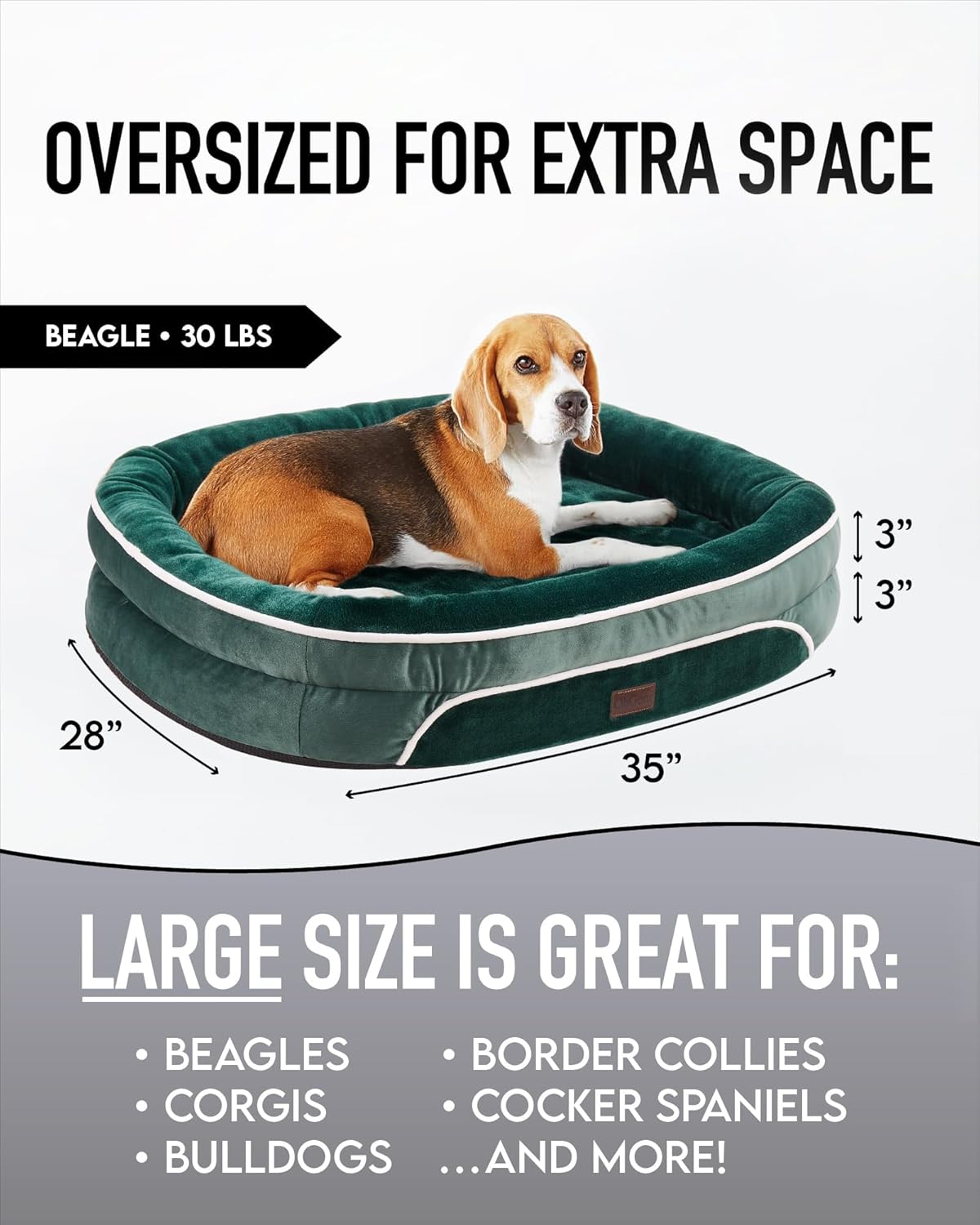 71NkLLxY3xL._AC_SL1500_.jpg 71NkLLxY3xL._AC_SL1500_.jpg