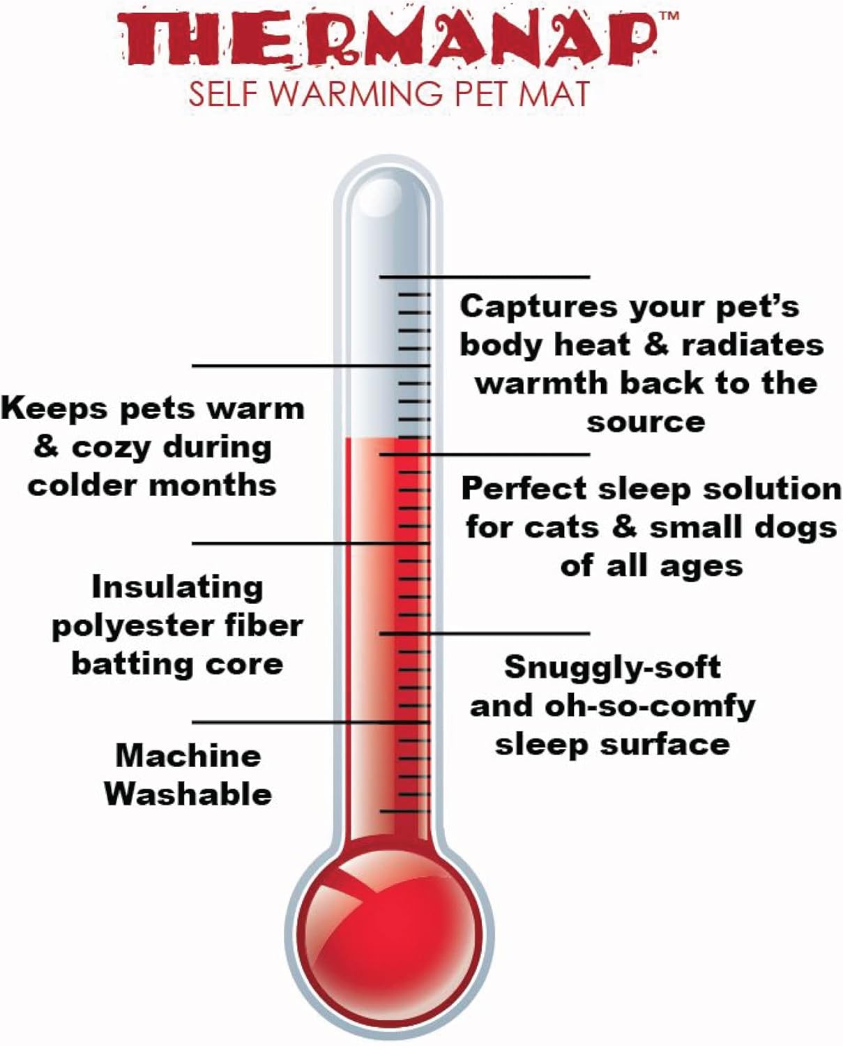 71O1iMY6XPL._AC_SL1500_.jpg 71O1iMY6XPL._AC_SL1500_.jpg