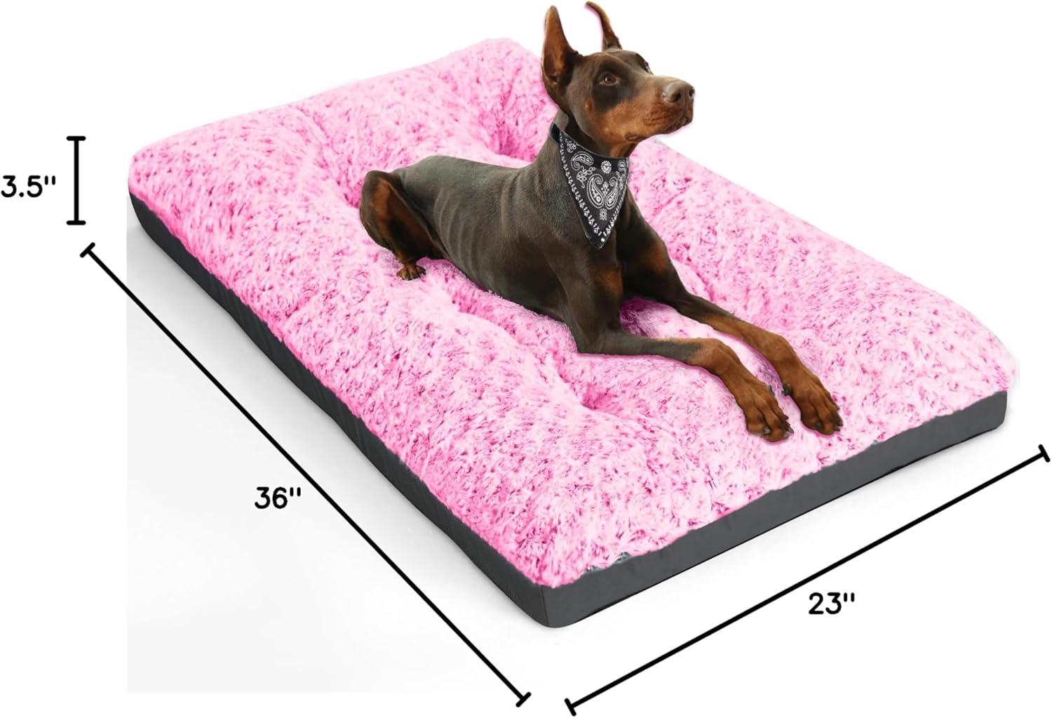 71Vgtuny84L._AC_SL1500_.jpg 71Vgtuny84L._AC_SL1500_.jpg