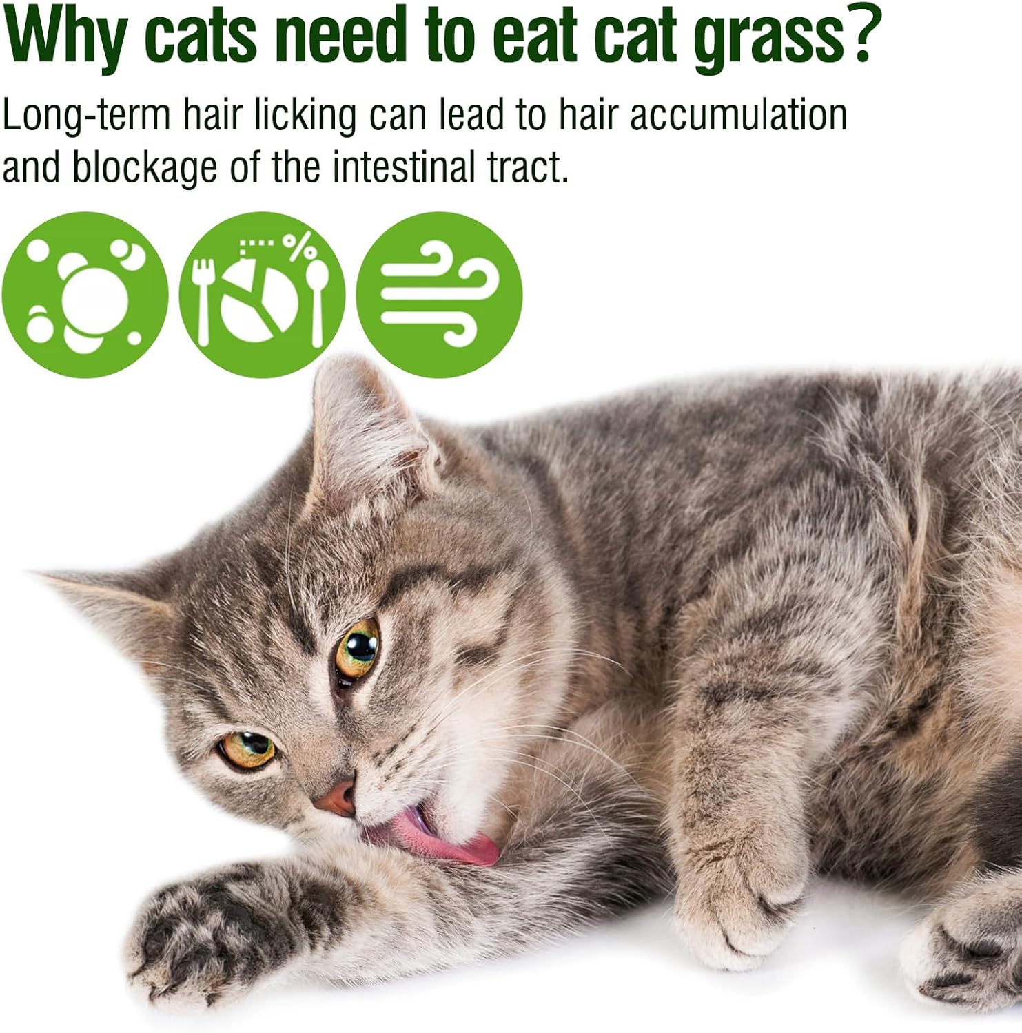 71Vq6Iz7kLL._AC_SL1500_-1.jpg 71Vq6Iz7kLL._AC_SL1500_-1.jpg