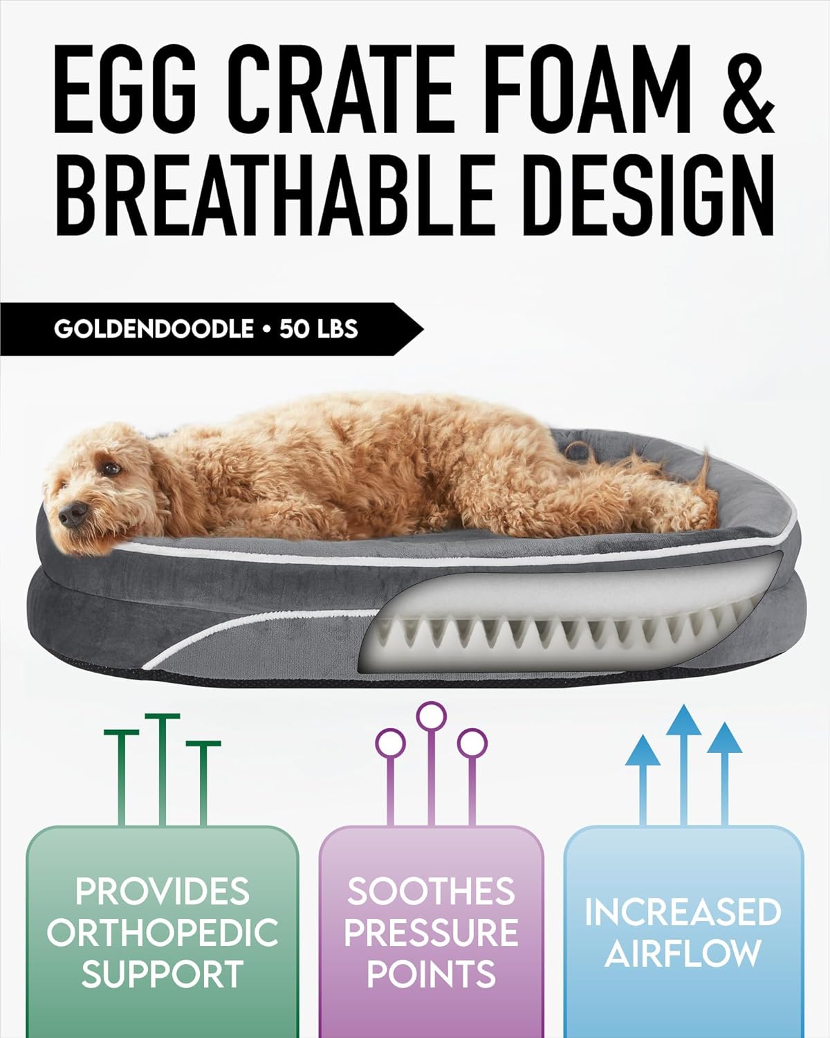 71XXhU4GZTL._AC_SL1500_.jpg 71XXhU4GZTL._AC_SL1500_.jpg