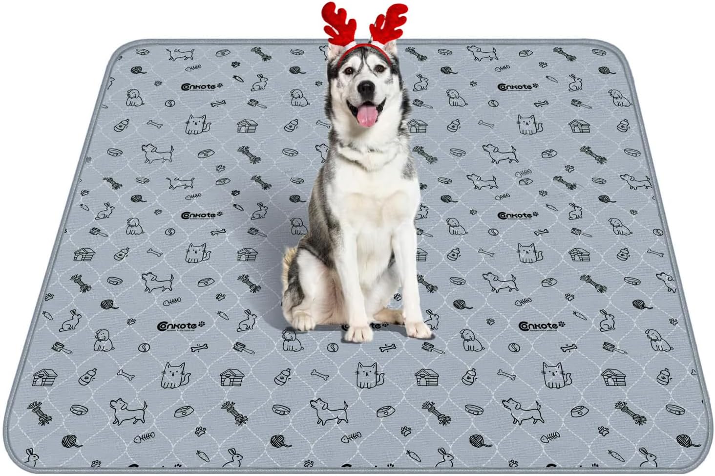 71YlV4-ZHTL._AC_SL1500_.jpg 71YlV4-ZHTL._AC_SL1500_.jpg