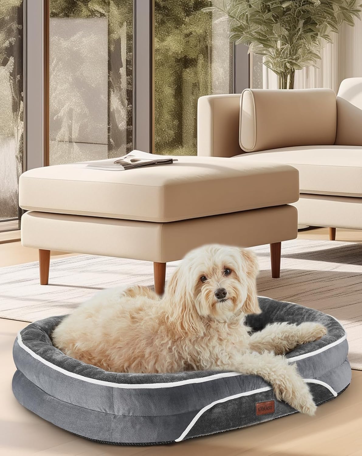 71ZSsjykQQL._AC_SL1500_.jpg 71ZSsjykQQL._AC_SL1500_.jpg