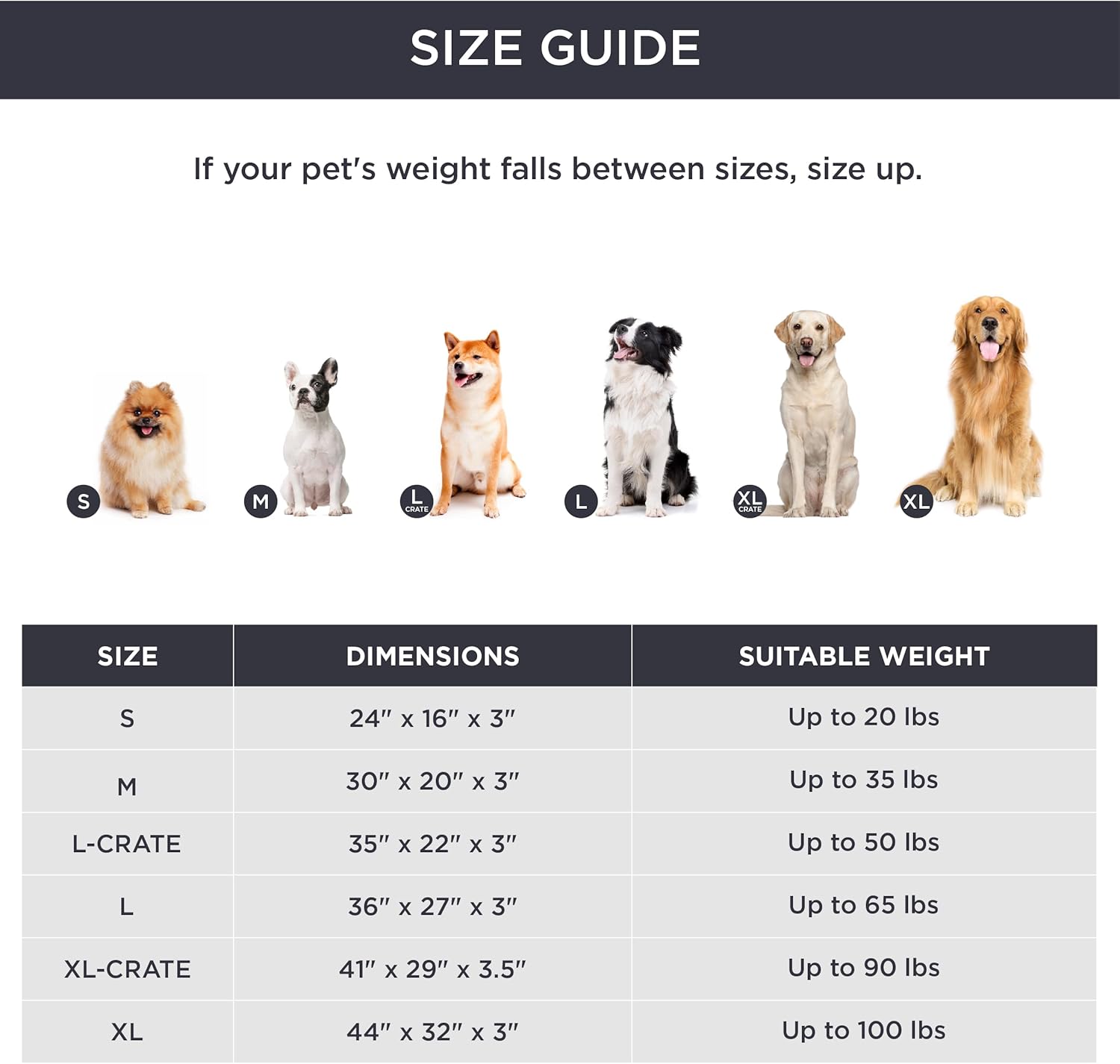 71cTmJBH5WL._AC_SL1500_.jpg 71cTmJBH5WL._AC_SL1500_.jpg