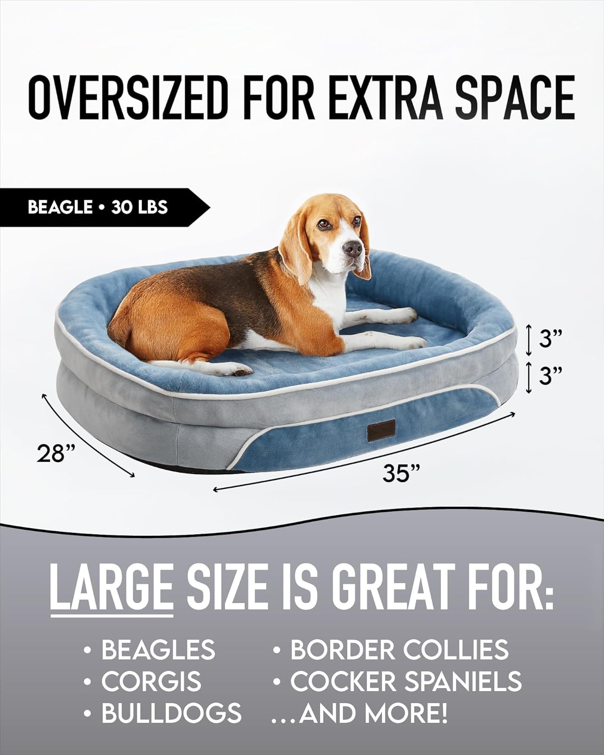 71iWpquJSuL._AC_SL1500_.jpg 71iWpquJSuL._AC_SL1500_.jpg