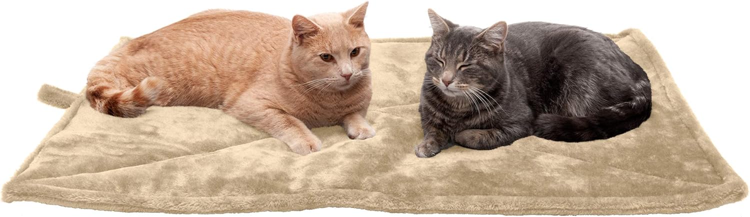 71kv878Nq1L._AC_SL1500_.jpg 71kv878Nq1L._AC_SL1500_.jpg