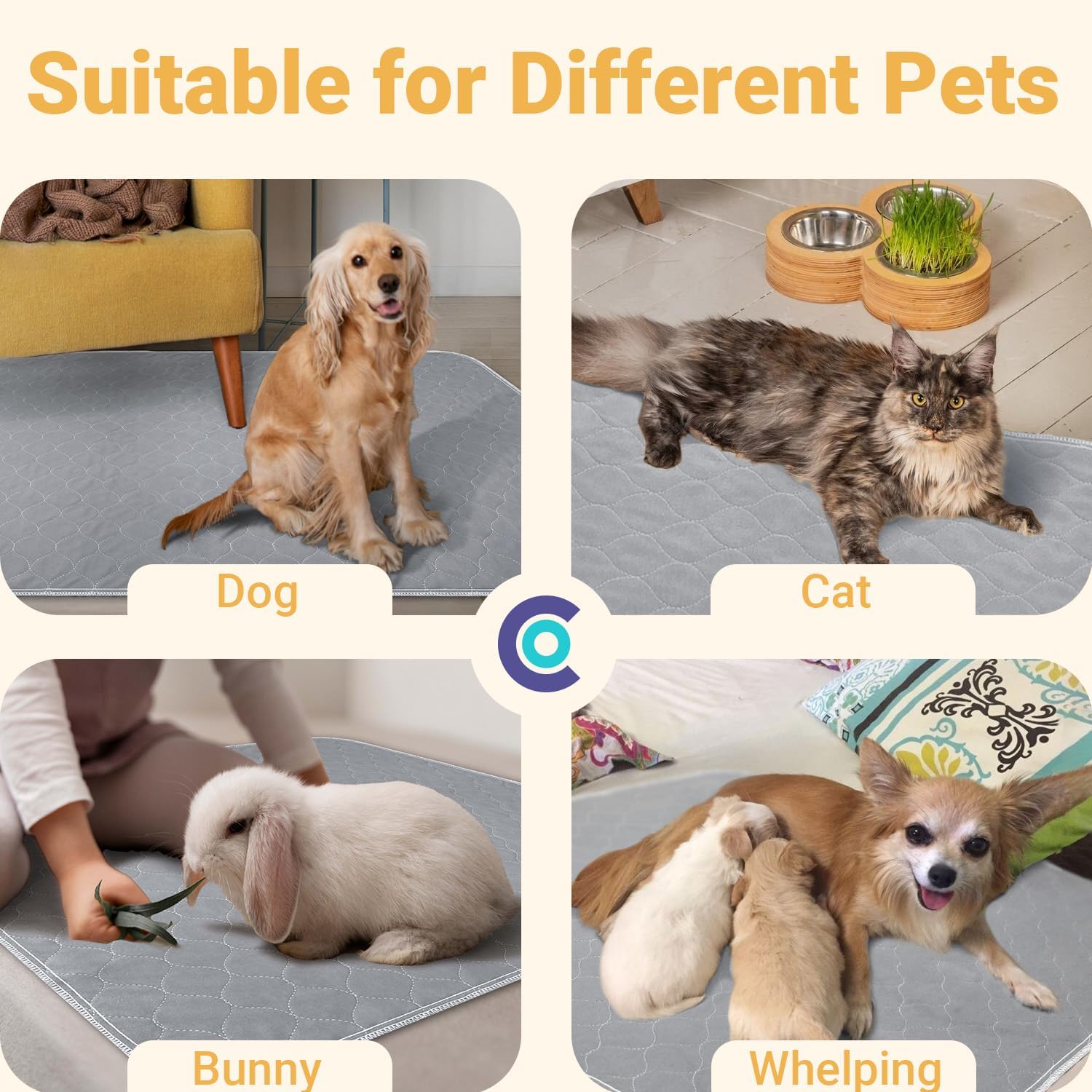 71oJ0b1z5PL._AC_SL1500_.jpg 71oJ0b1z5PL._AC_SL1500_.jpg