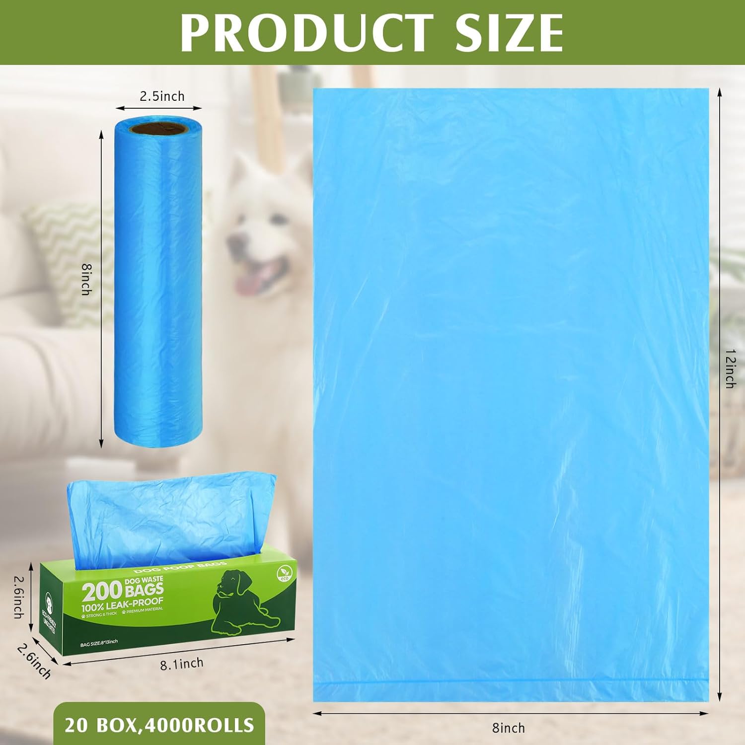 71rSjaY6VFL._AC_SL1500_.jpg 71rSjaY6VFL._AC_SL1500_.jpg