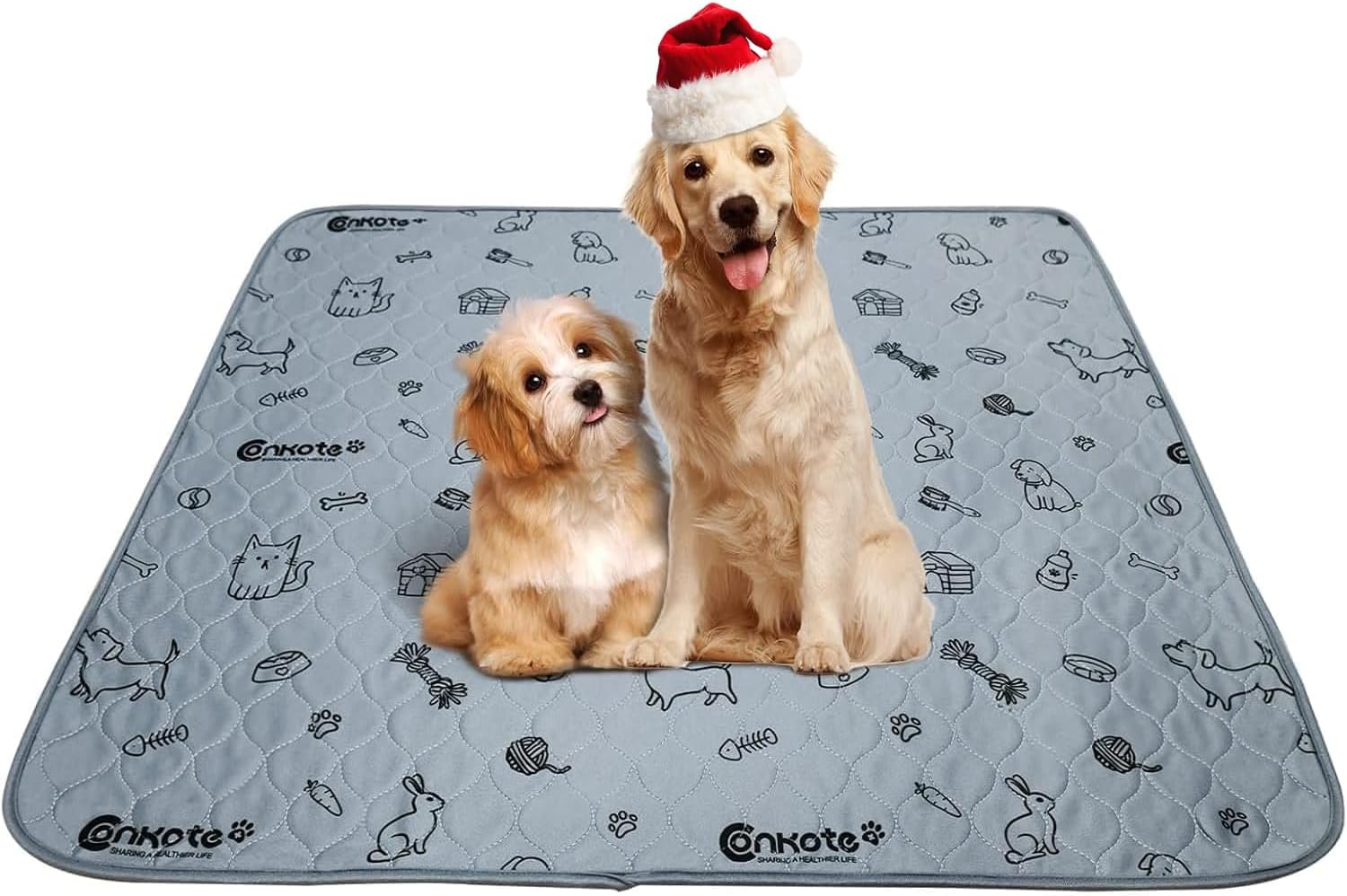 71tprACT50L._AC_SL1500_.jpg 71tprACT50L._AC_SL1500_.jpg