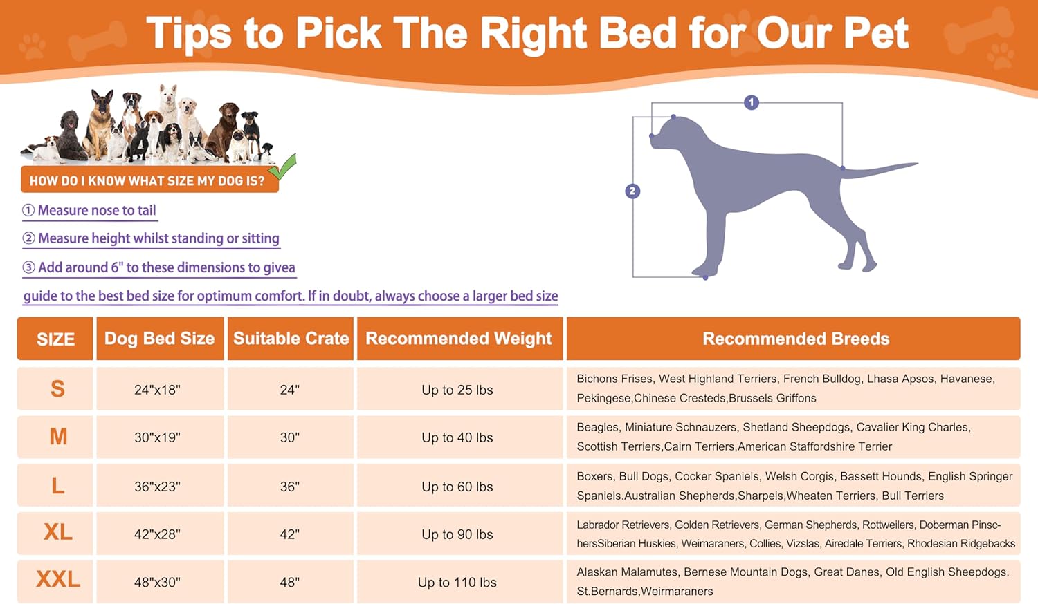 71yvffiHigL._AC_SL1500_.jpg 71yvffiHigL._AC_SL1500_.jpg