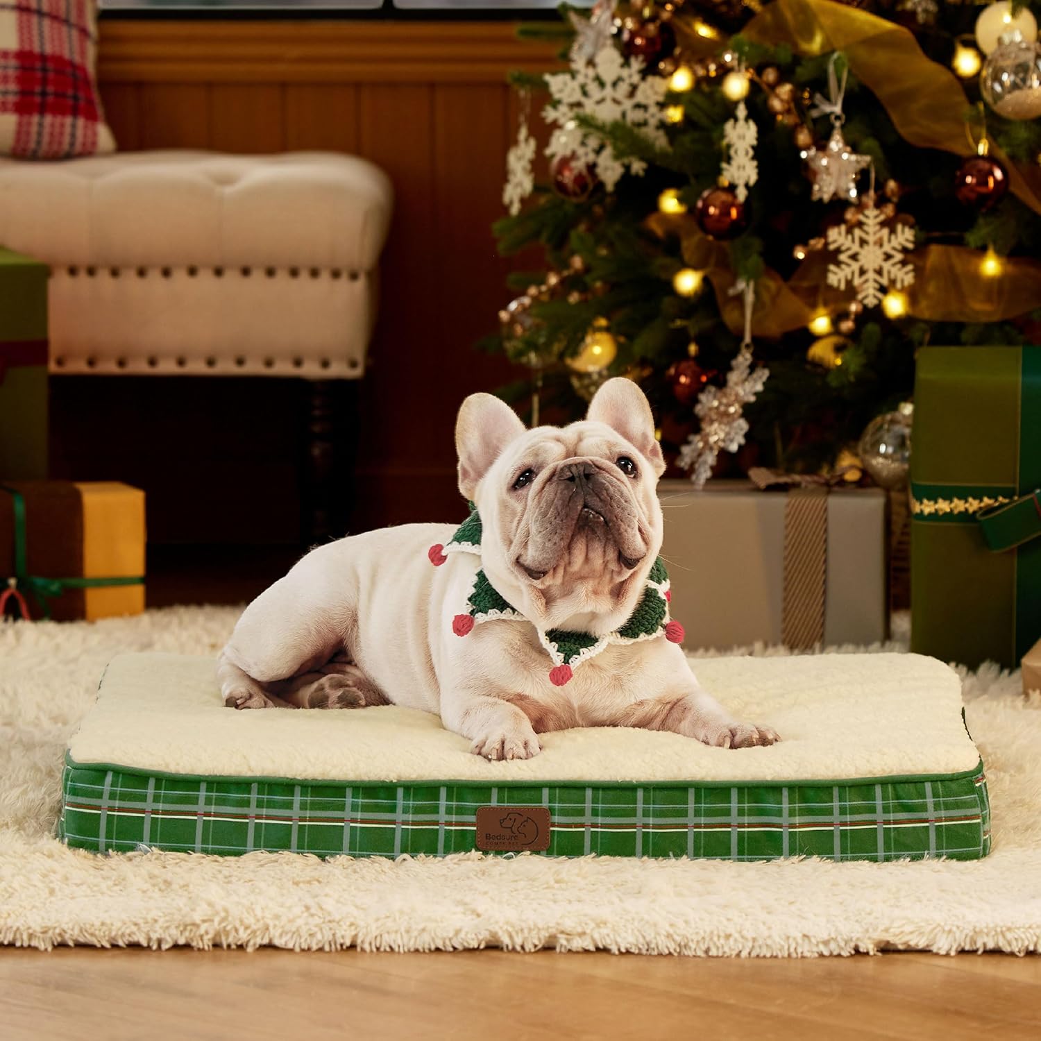 810MQ-BPY2L._AC_SL1500_.jpg 810MQ-BPY2L._AC_SL1500_.jpg