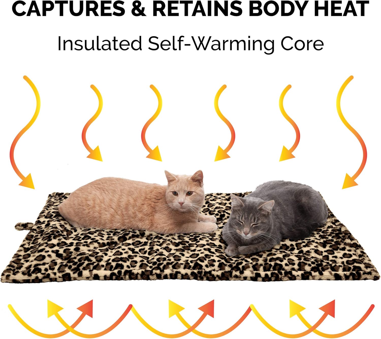 812QuAk1SlL._AC_SL1500_.jpg 812QuAk1SlL._AC_SL1500_.jpg