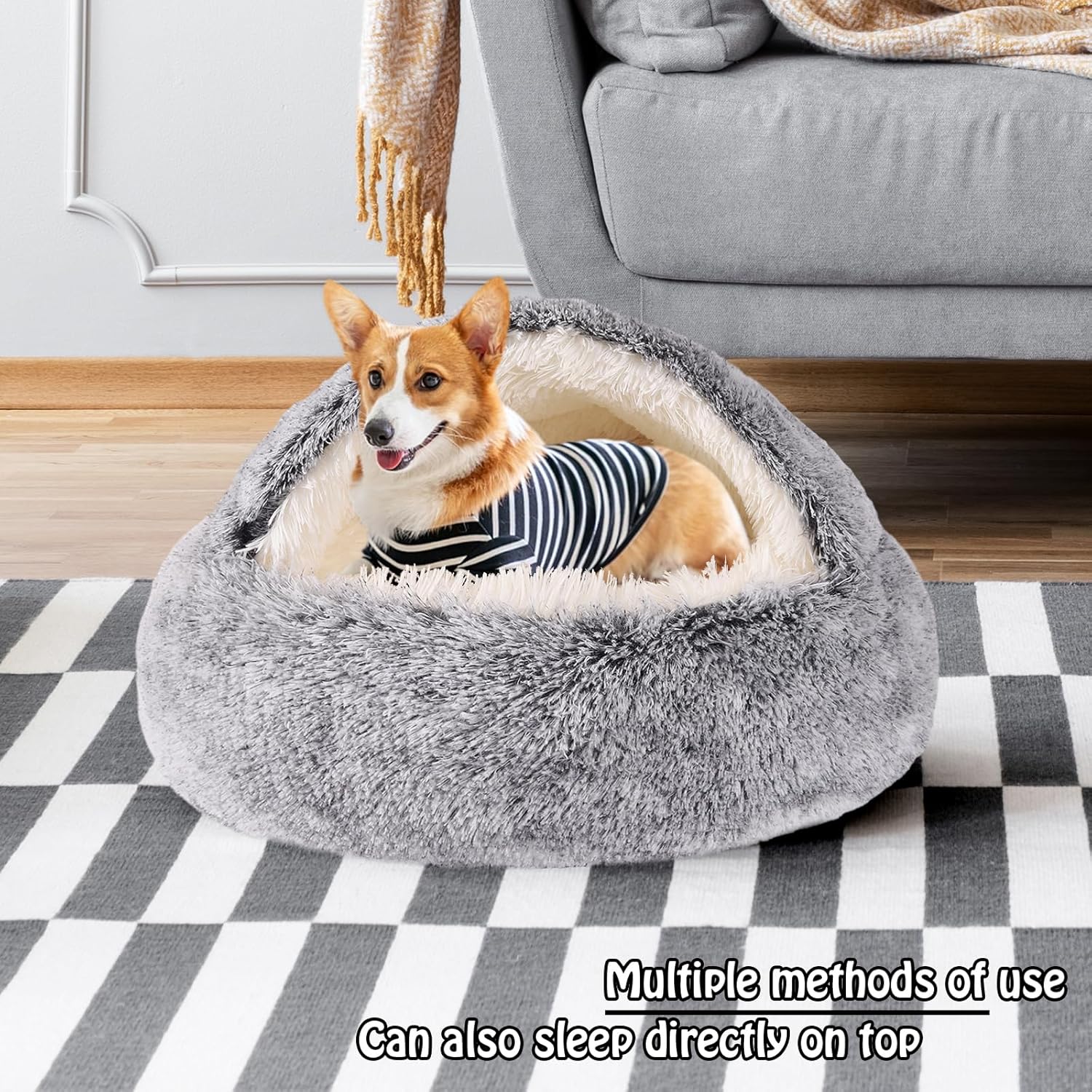 812eNq-EJWL._AC_SL1500_.jpg 812eNq-EJWL._AC_SL1500_.jpg