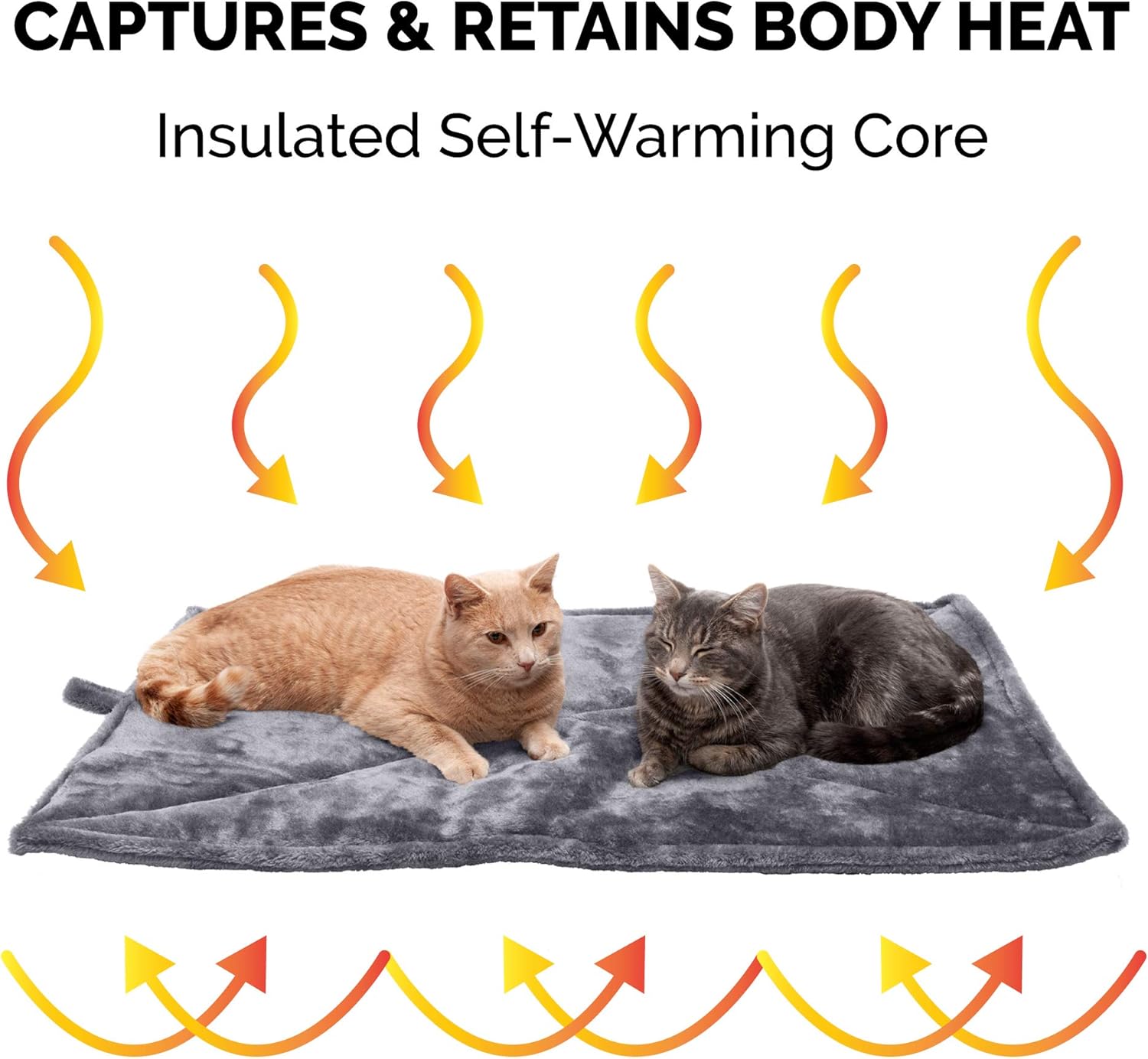 815e1c9PYGL._AC_SL1500_.jpg 815e1c9PYGL._AC_SL1500_.jpg