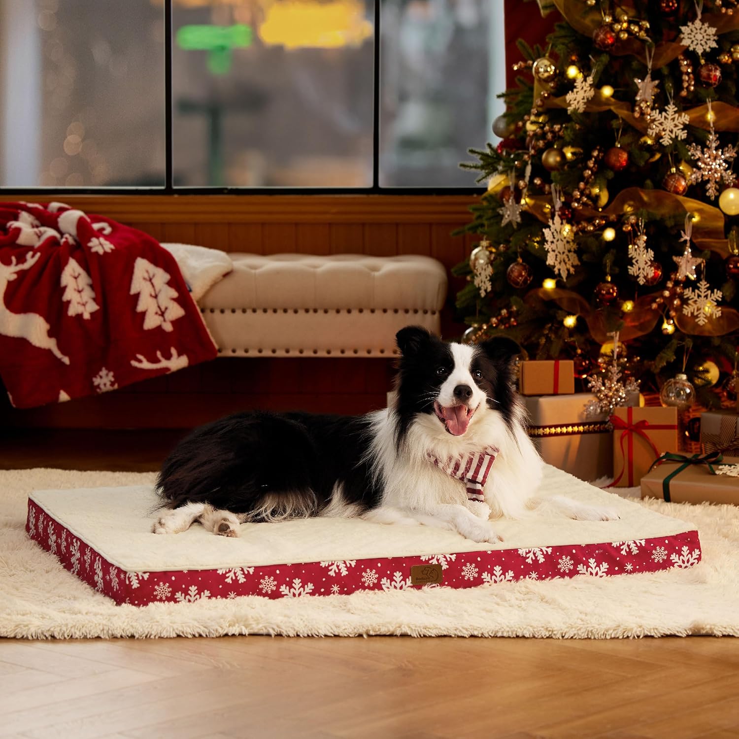 815exBbZ1NL._AC_SL1500_.jpg 815exBbZ1NL._AC_SL1500_.jpg