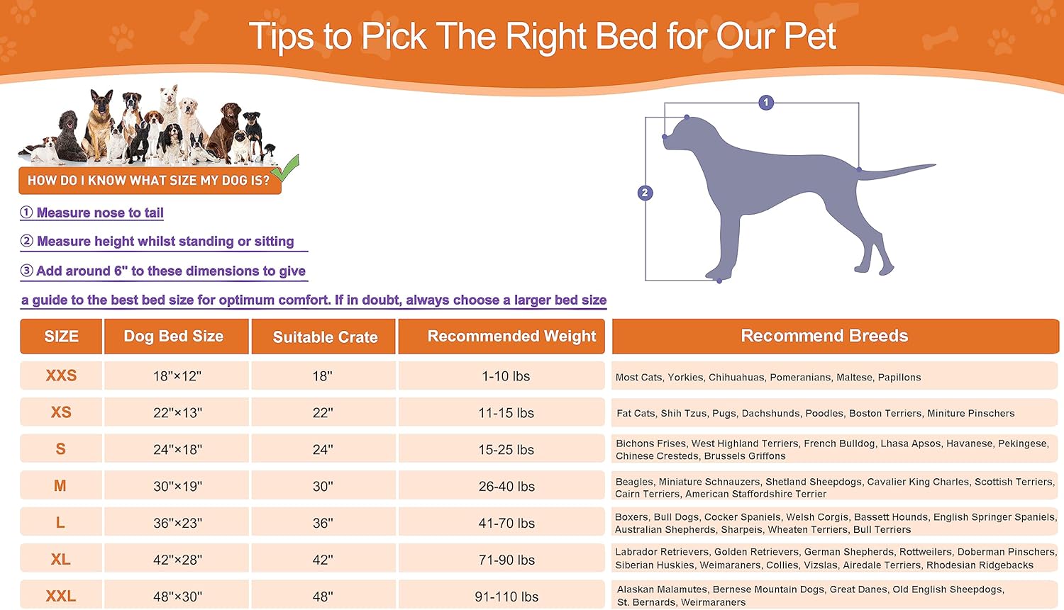 8167d5qrM6L._AC_SL1500_.jpg 8167d5qrM6L._AC_SL1500_.jpg