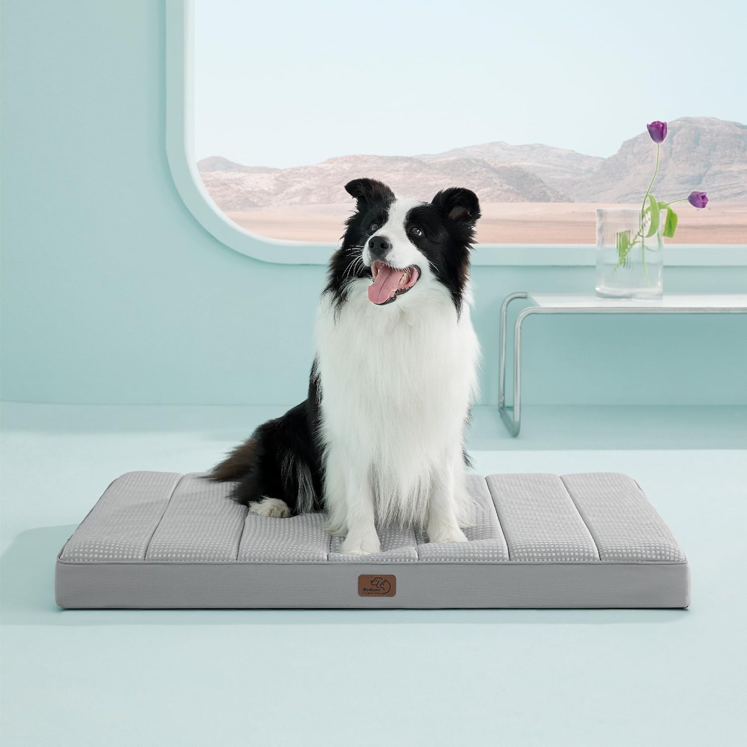 818m9Etz5hL._AC_SL1500_.jpg 818m9Etz5hL._AC_SL1500_.jpg