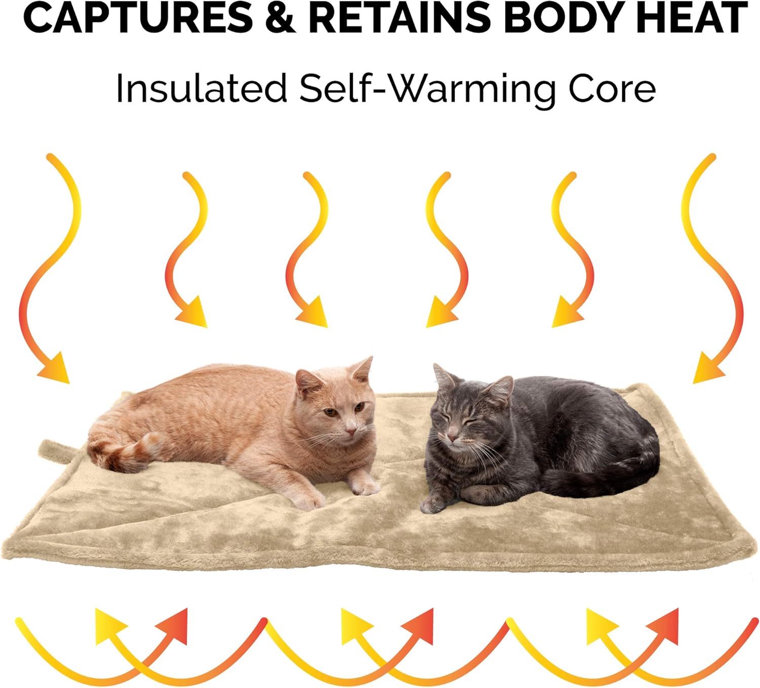 81AY5rz46fL._AC_SL1500_.jpg 81AY5rz46fL._AC_SL1500_.jpg