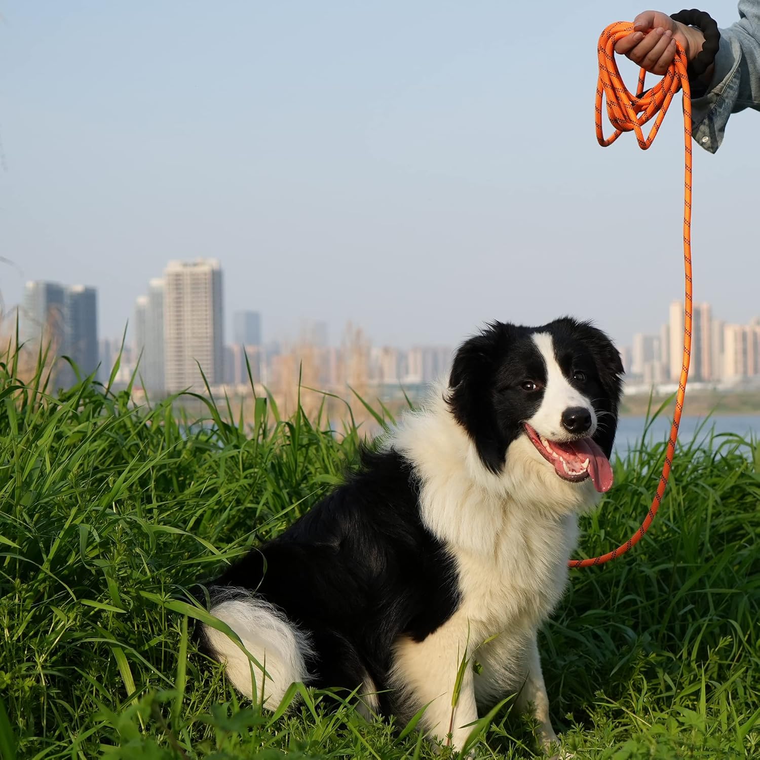 81BAfCen05L._AC_SL1500_.jpg 81BAfCen05L._AC_SL1500_.jpg