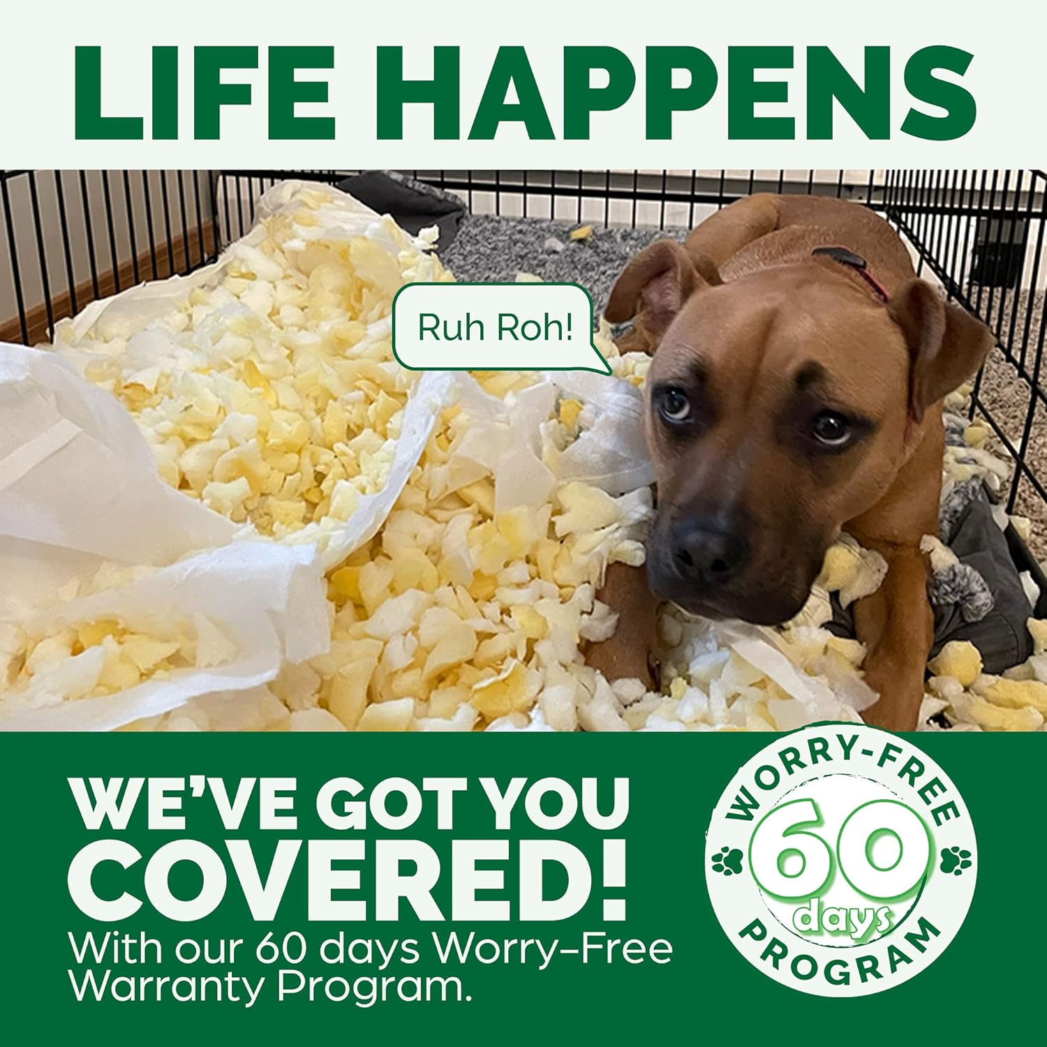 81DHZHPqz1L._AC_SL1500_.jpg 81DHZHPqz1L._AC_SL1500_.jpg