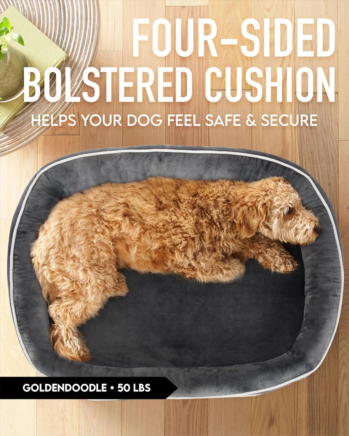 81EzpGbGCeL._AC_SL1500_.jpg 81EzpGbGCeL._AC_SL1500_.jpg