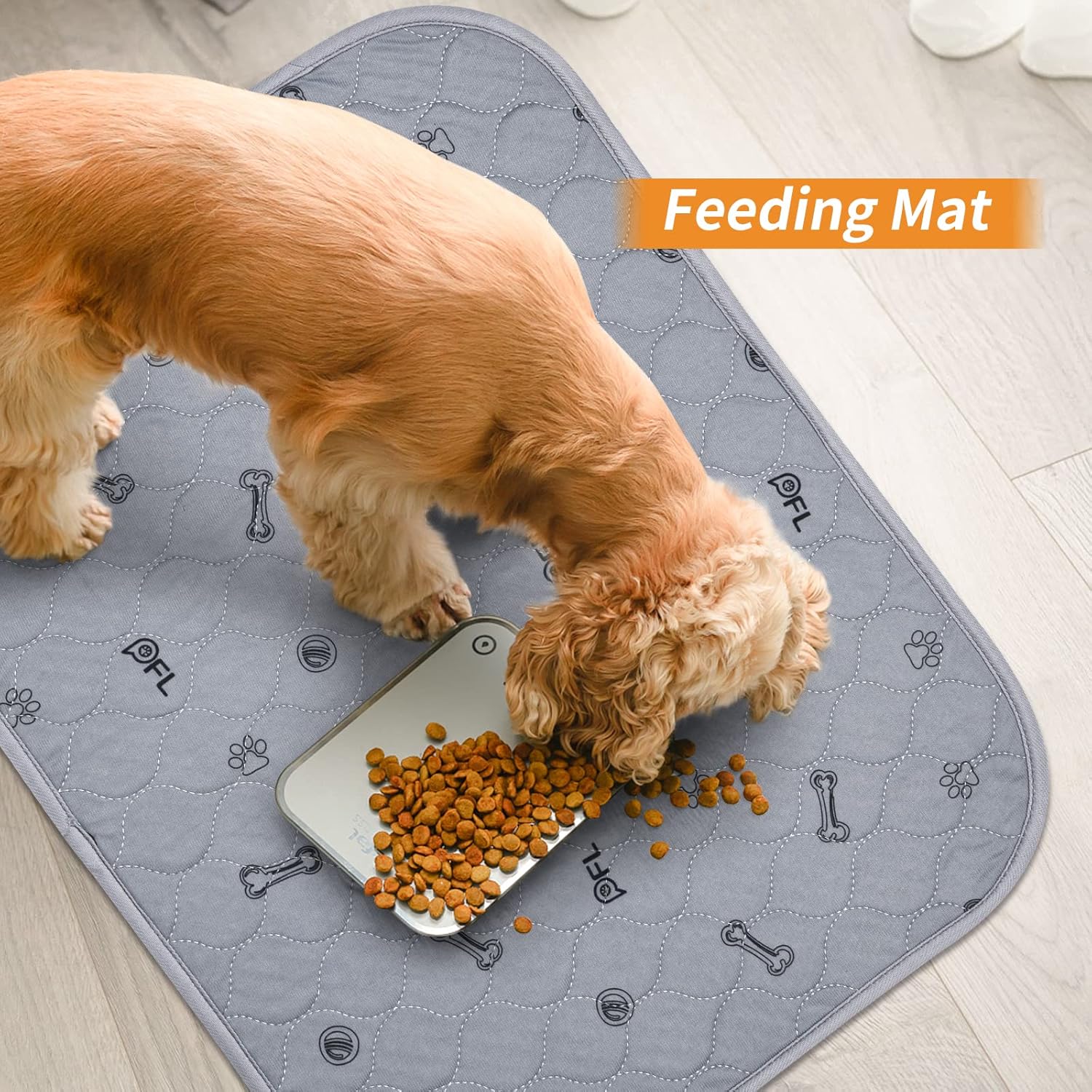 81F6GBaQAAL._AC_SL1500_.jpg 81F6GBaQAAL._AC_SL1500_.jpg