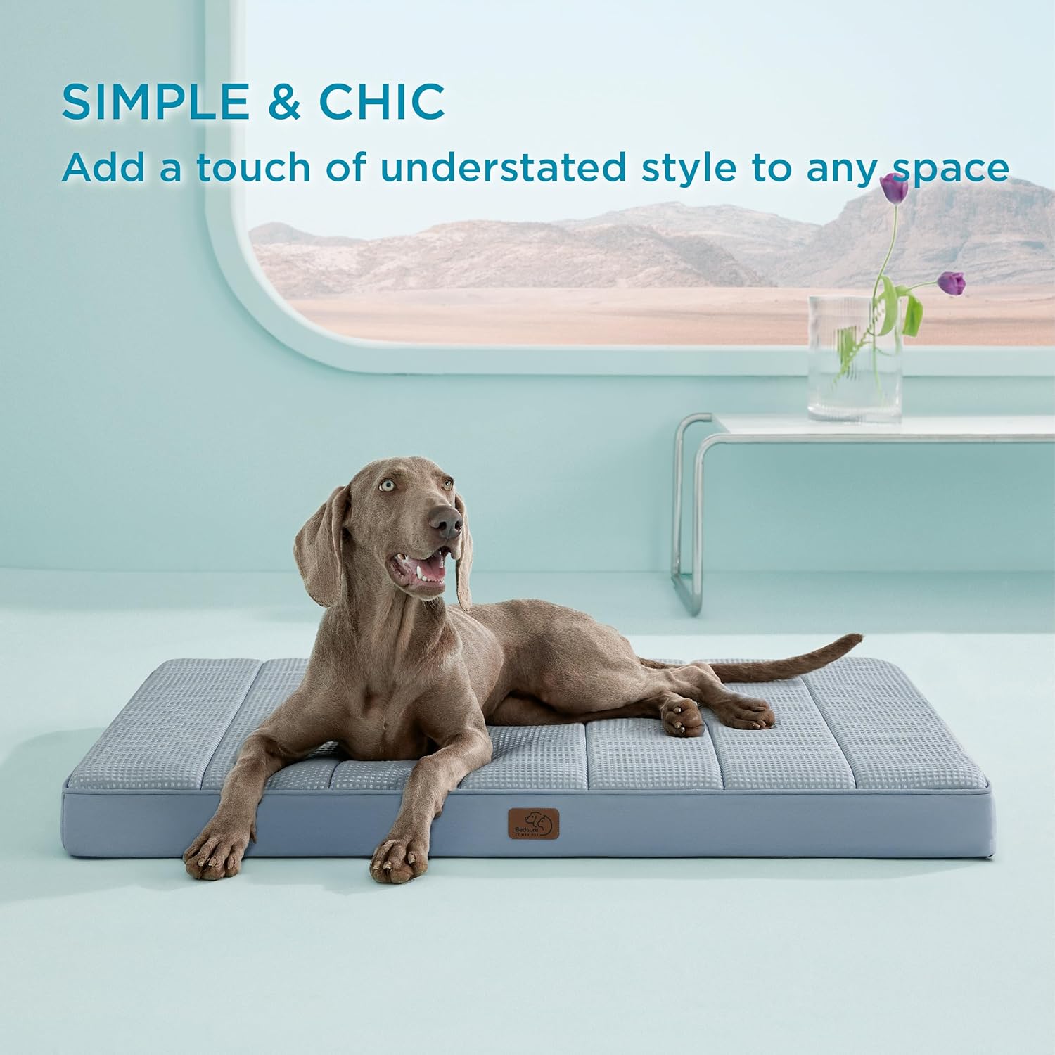 81HWl0iXvL._AC_SL1500_.jpg 81HWl0iXvL._AC_SL1500_.jpg