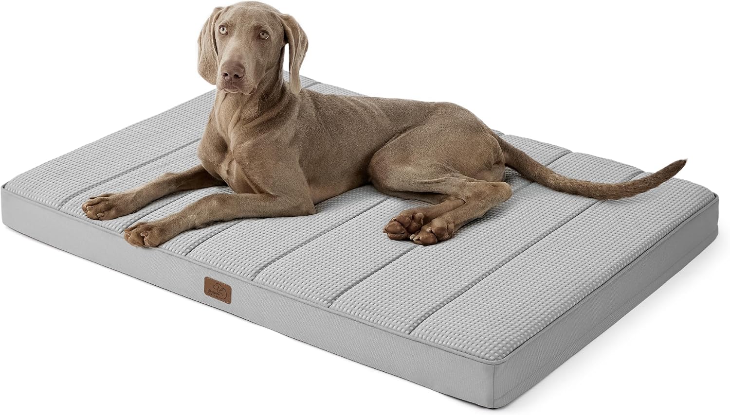 81HiJM6KiWL._AC_SL1500_.jpg 81HiJM6KiWL._AC_SL1500_.jpg