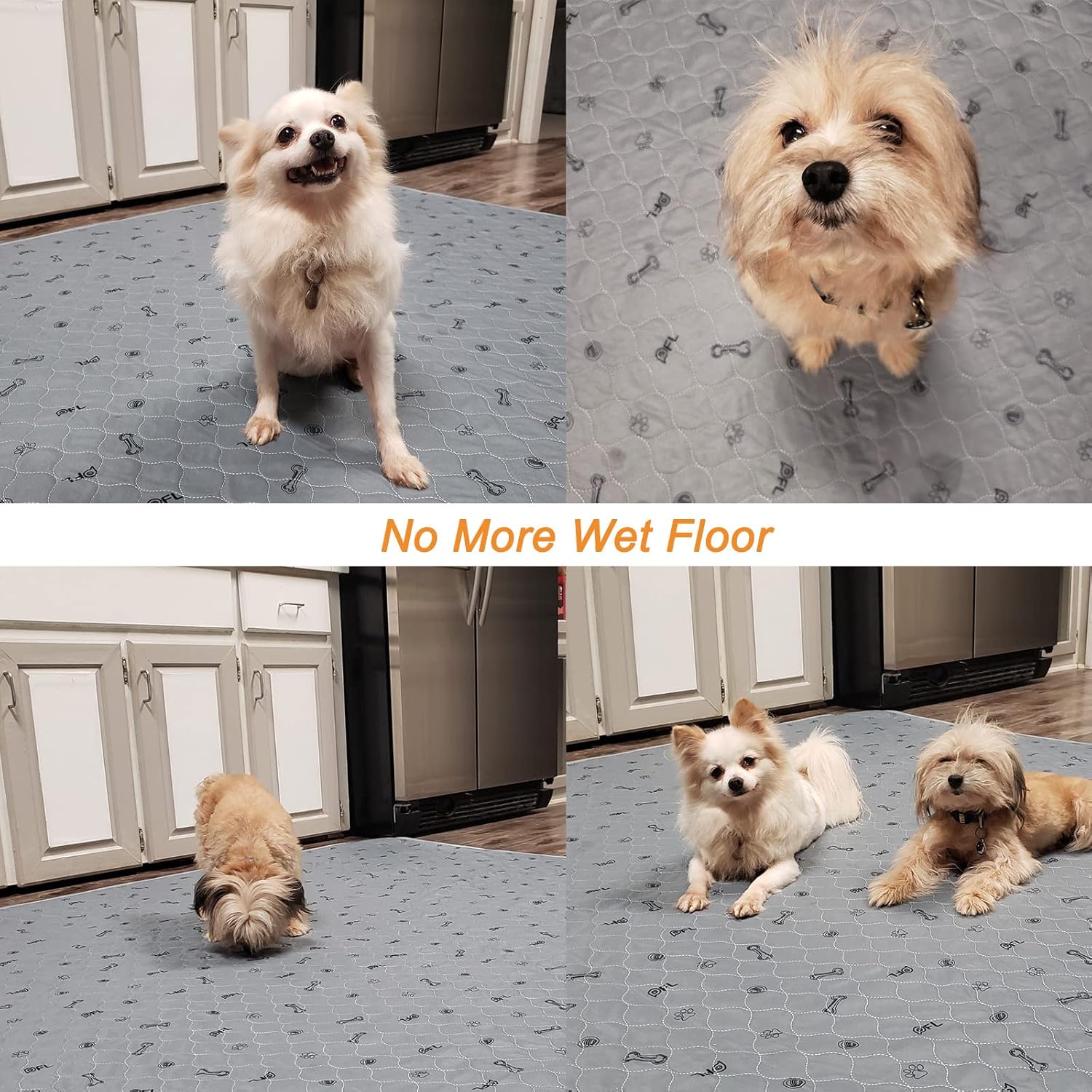 81HlJFOIOVL._AC_SL1500_.jpg 81HlJFOIOVL._AC_SL1500_.jpg