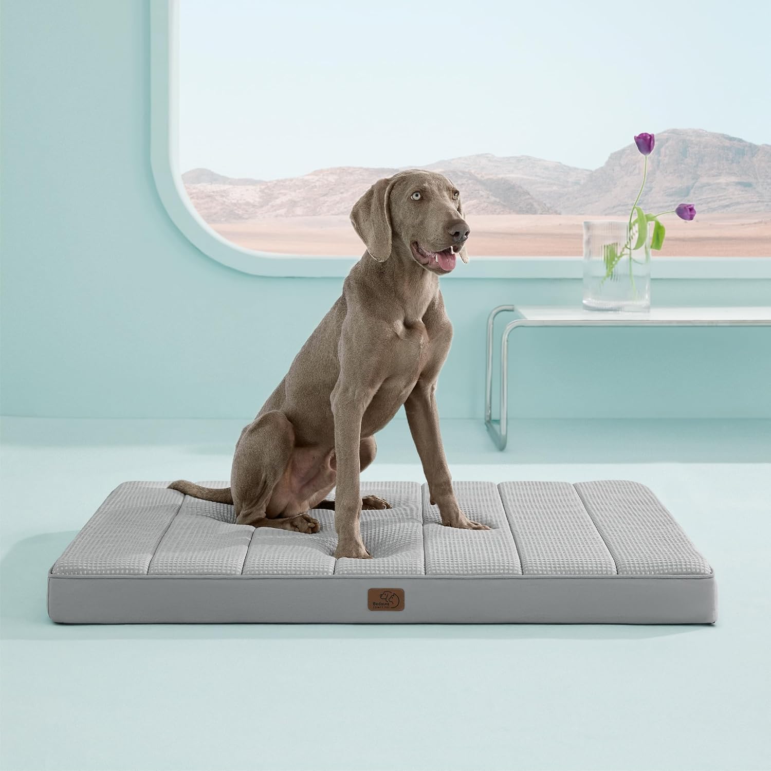 81I2znT3ZmL._AC_SL1500_.jpg 81I2znT3ZmL._AC_SL1500_.jpg