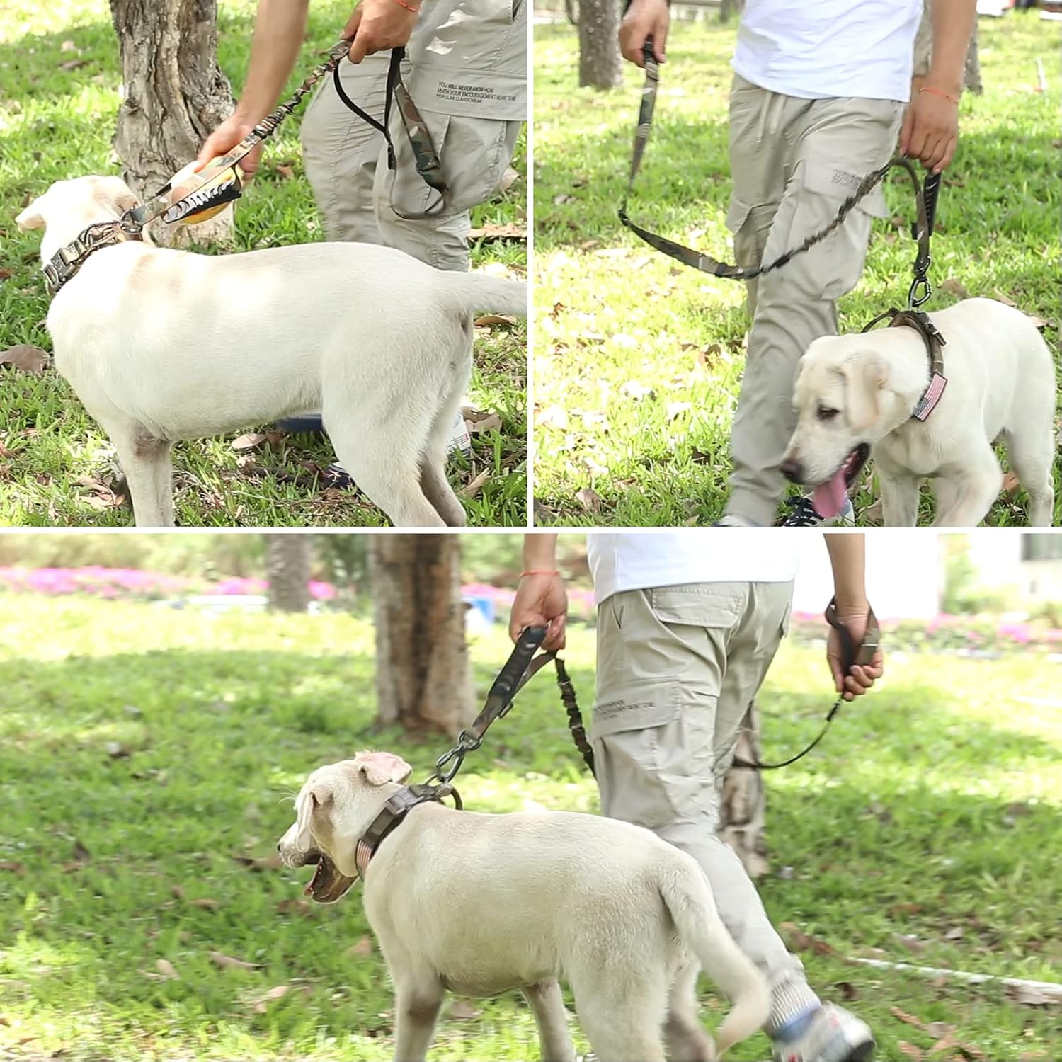 81I8aA4tYdS._AC_SL1500_.jpg 81I8aA4tYdS._AC_SL1500_.jpg