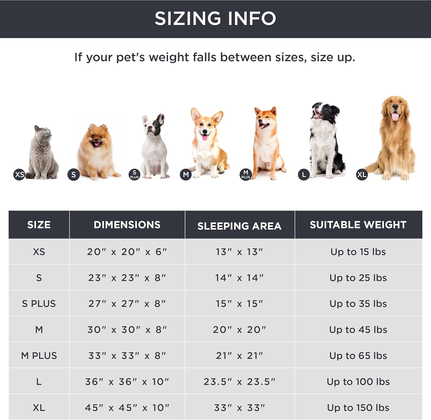 81IWlsiW0WL._AC_SL1500_.jpg 81IWlsiW0WL._AC_SL1500_.jpg