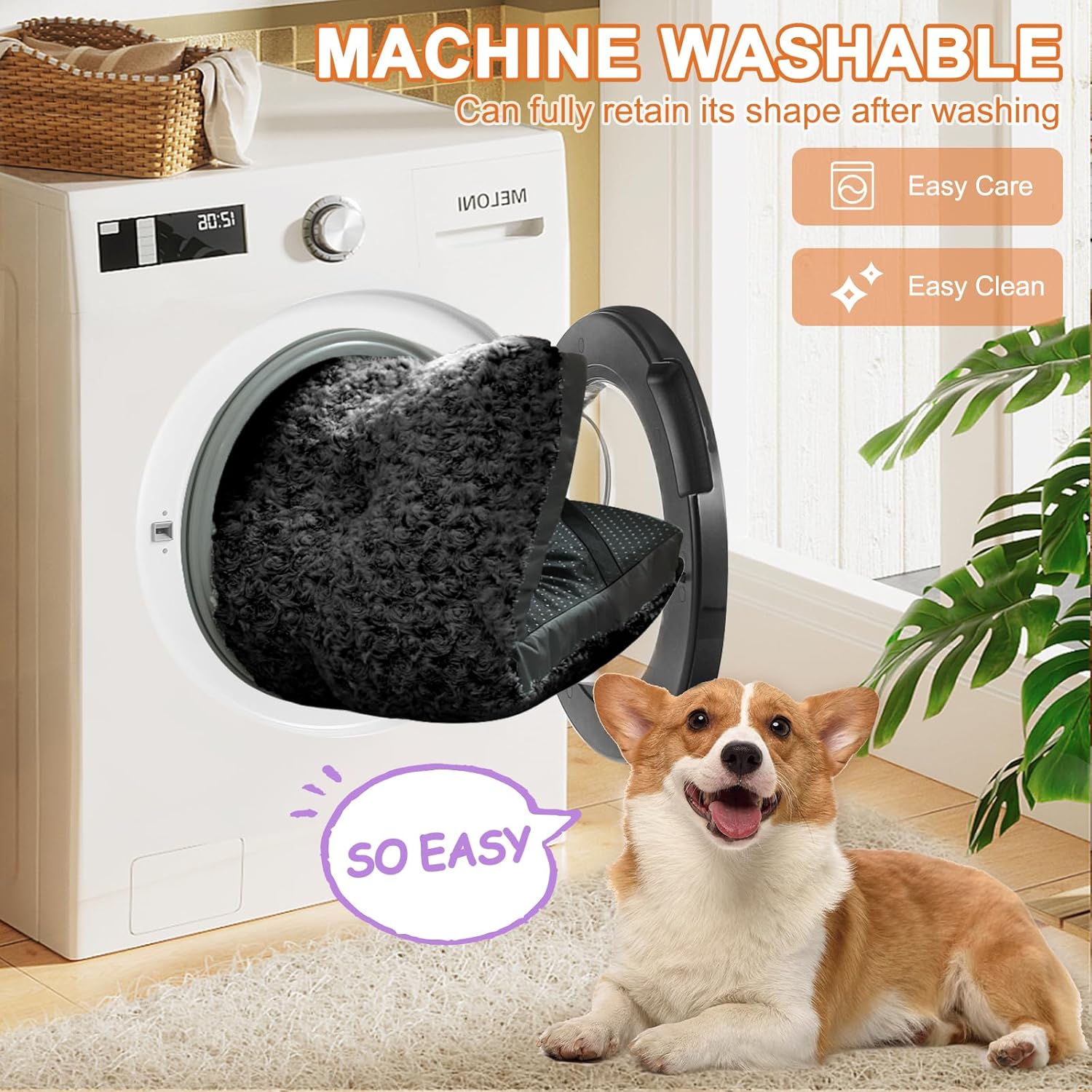 81InTTxj-OL._AC_SL1500_.jpg 81InTTxj-OL._AC_SL1500_.jpg