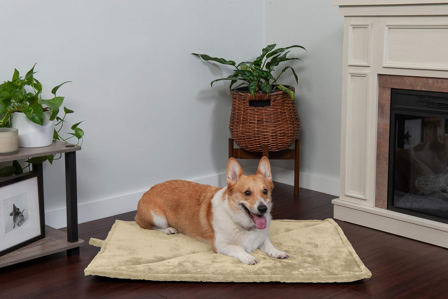 81PKE2RnL._AC_SL1500_.jpg 81PKE2RnL._AC_SL1500_.jpg