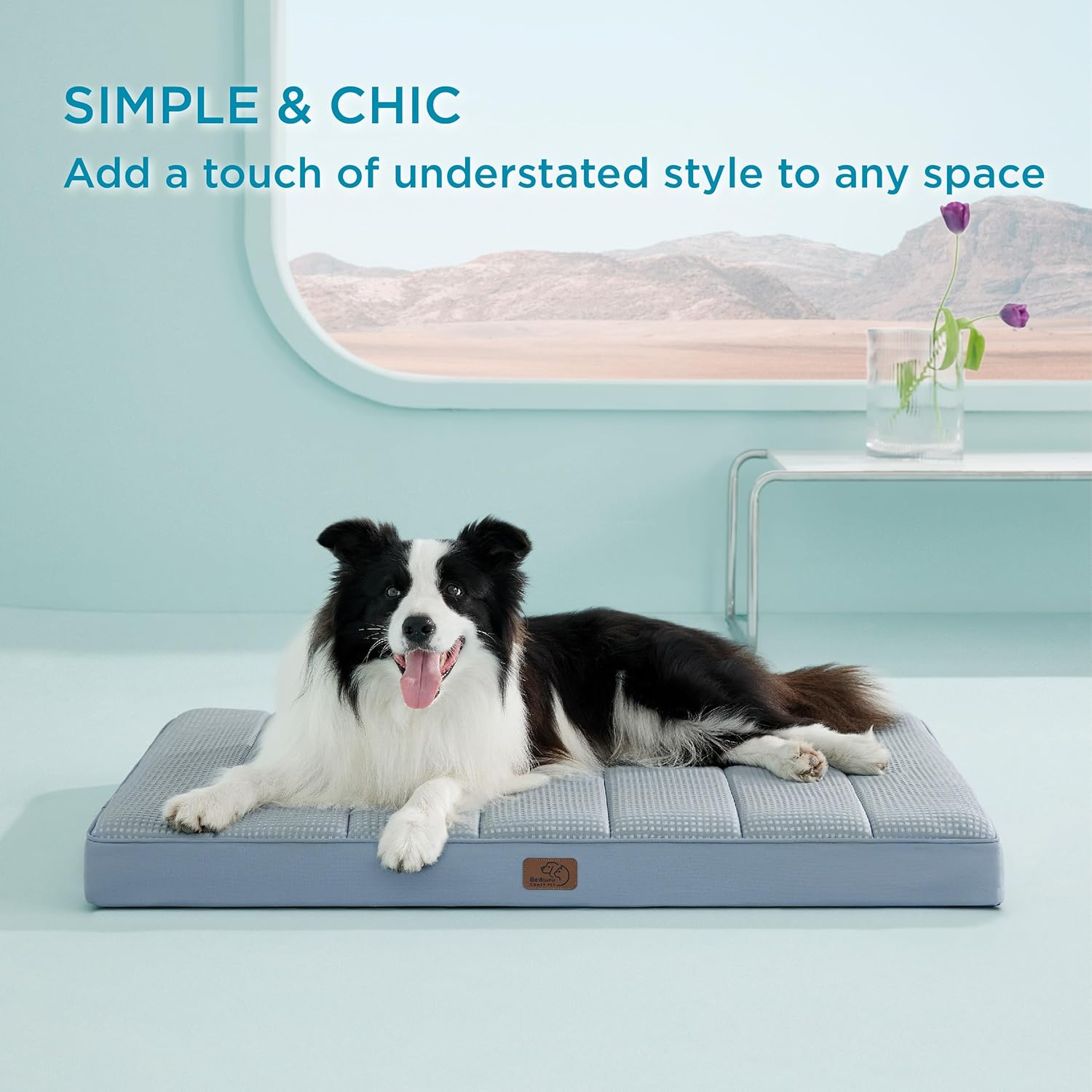 81SGG1xLiL._AC_SL1500_.jpg 81SGG1xLiL._AC_SL1500_.jpg