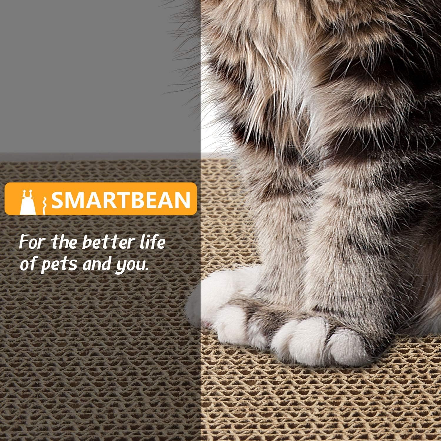 81UbL8vTuaL._AC_SL1500_.jpg 81UbL8vTuaL._AC_SL1500_.jpg